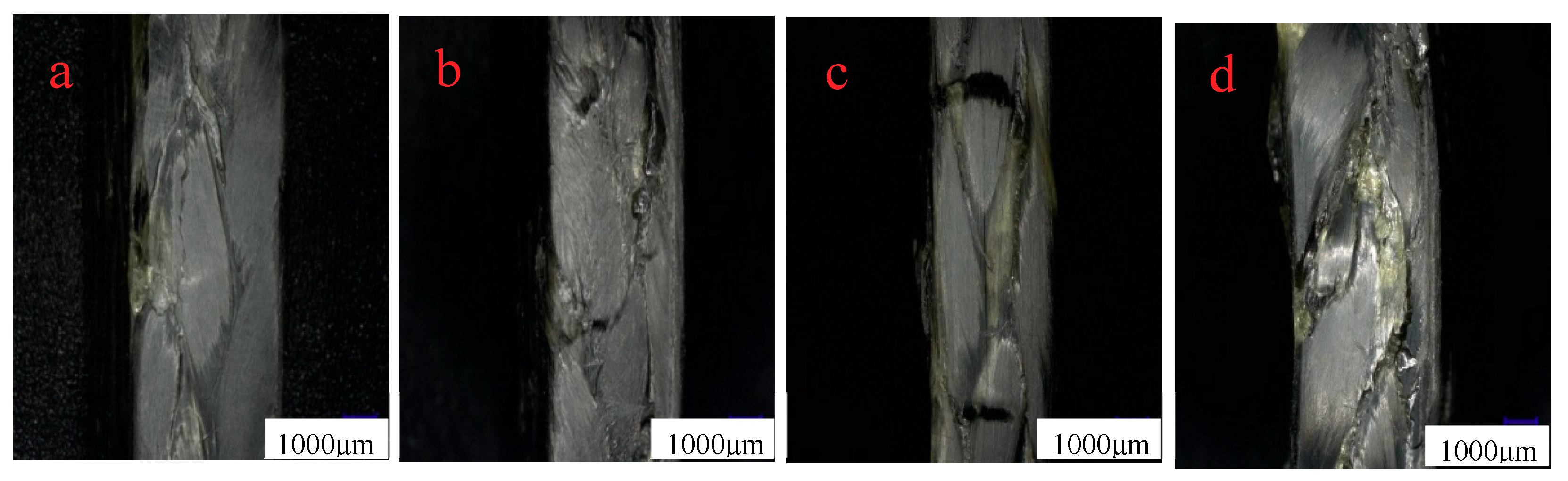 Molecules 24 03977 g014