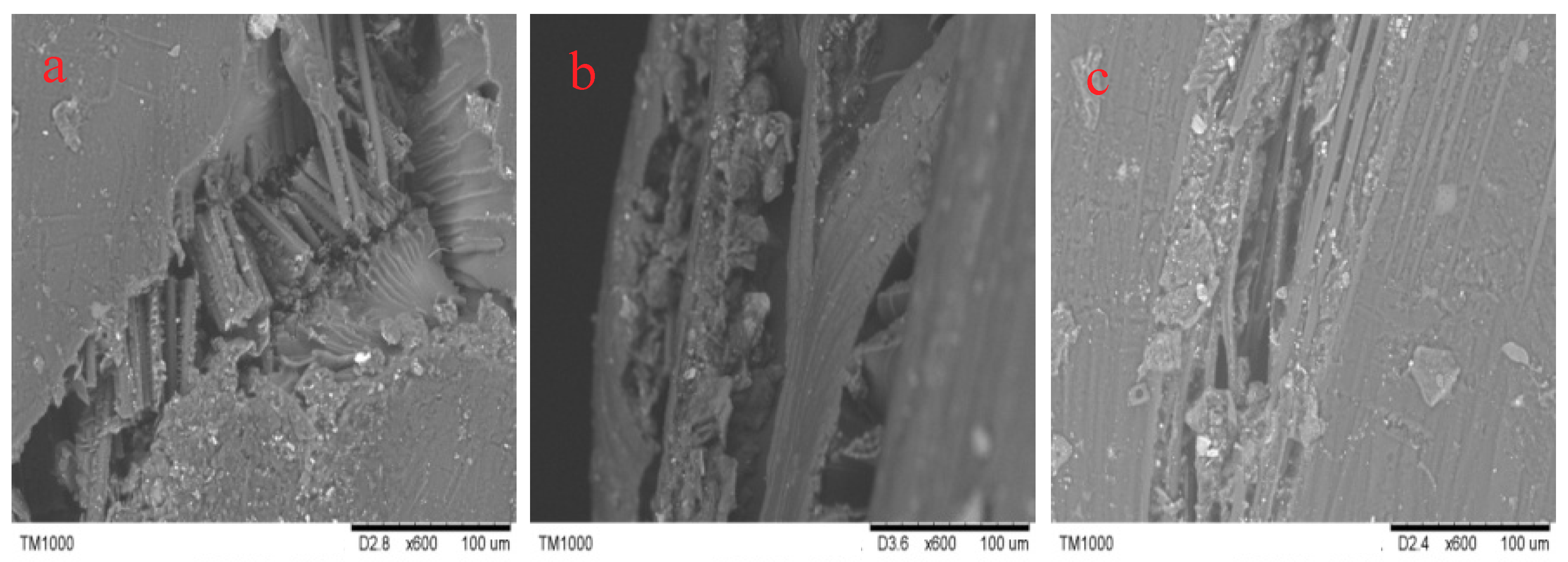 Molecules 24 03977 g015