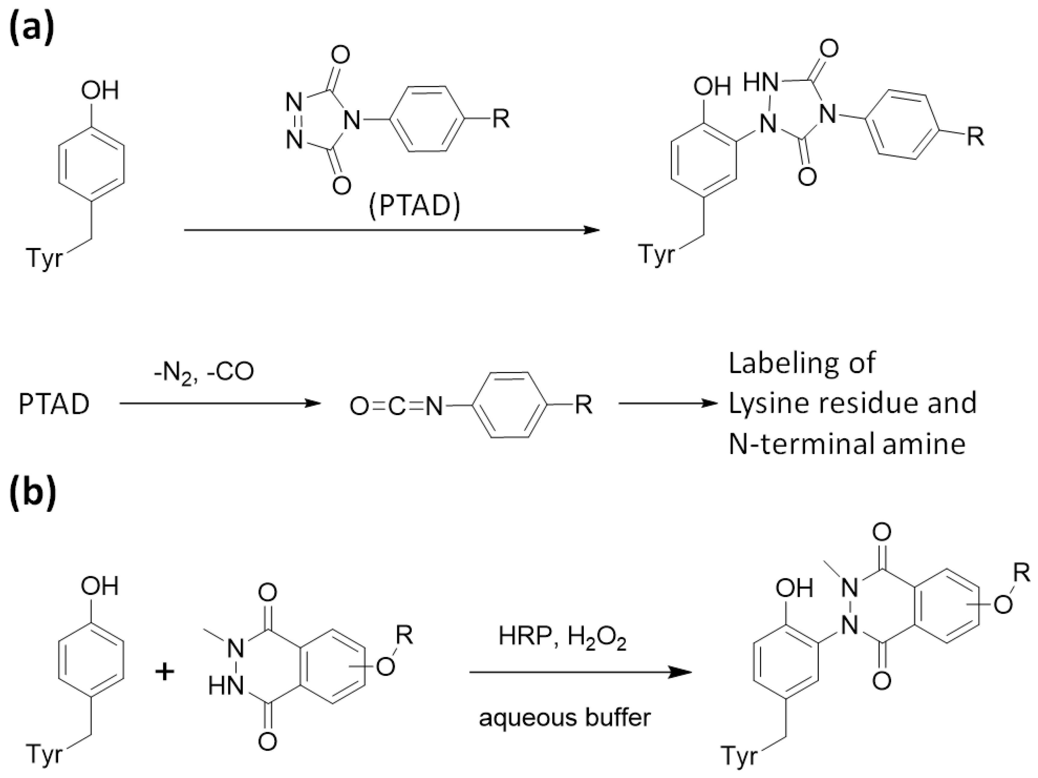Molecules 24 03980 g002