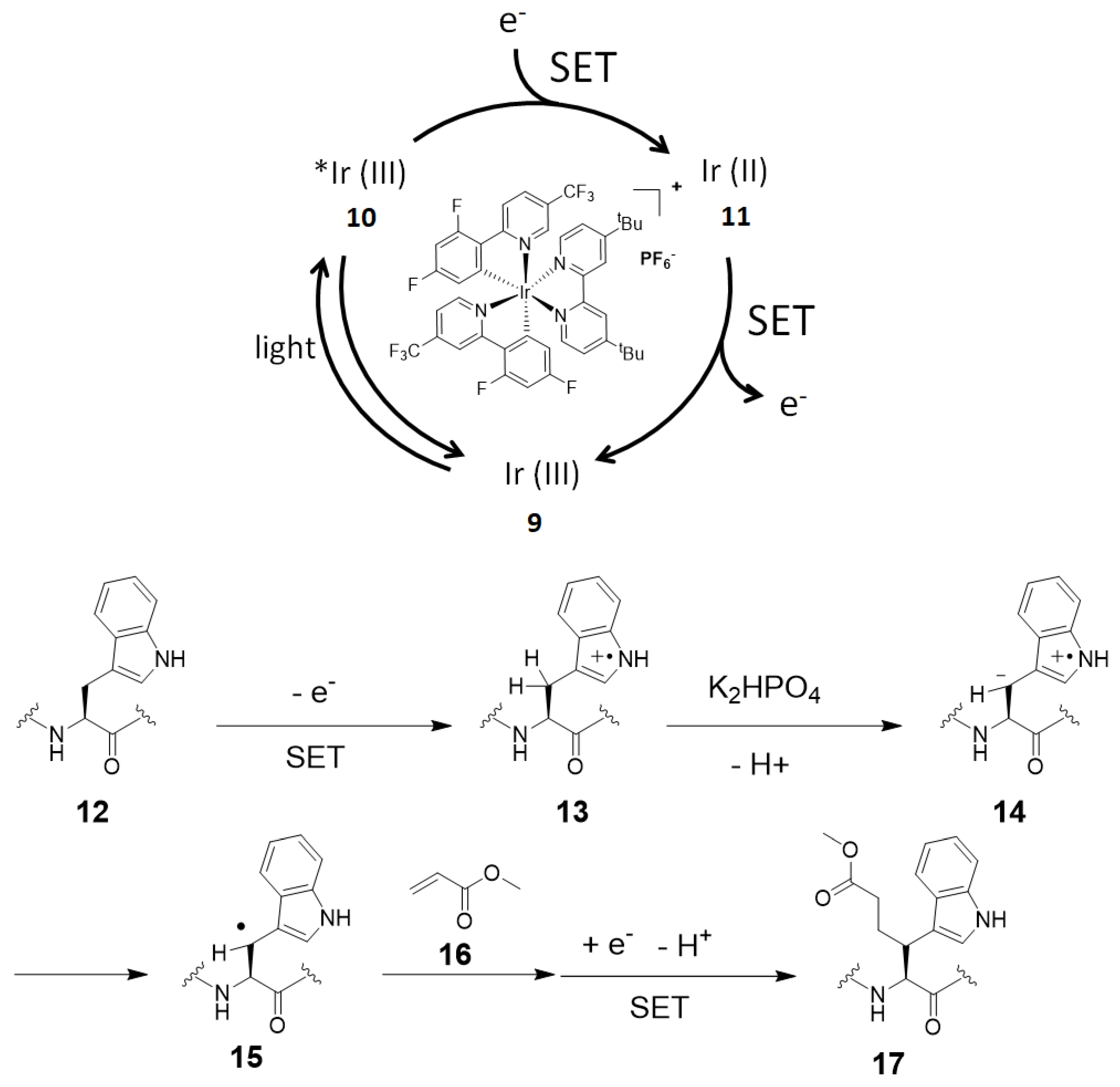 Molecules 24 03980 g006