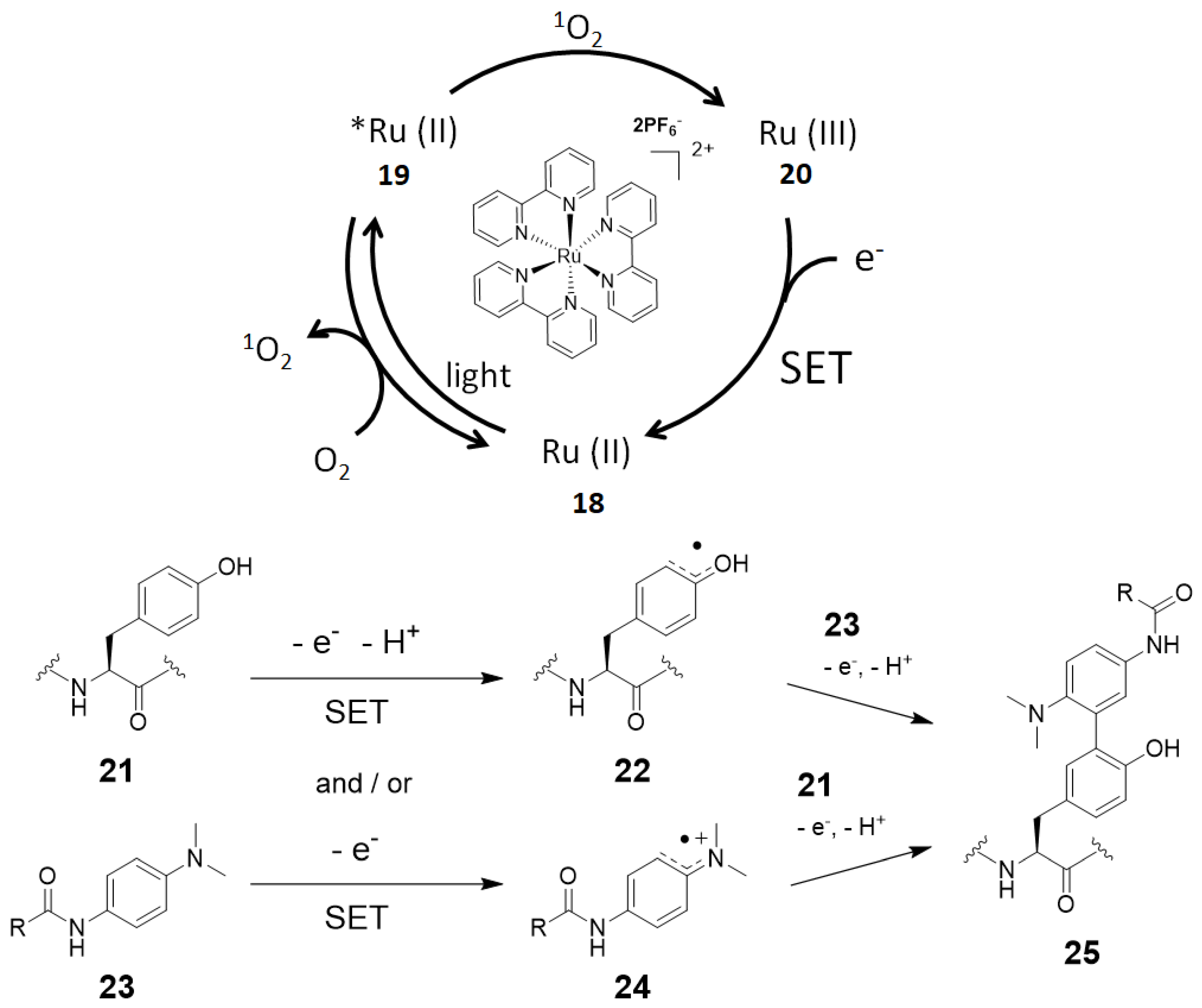Molecules 24 03980 g007