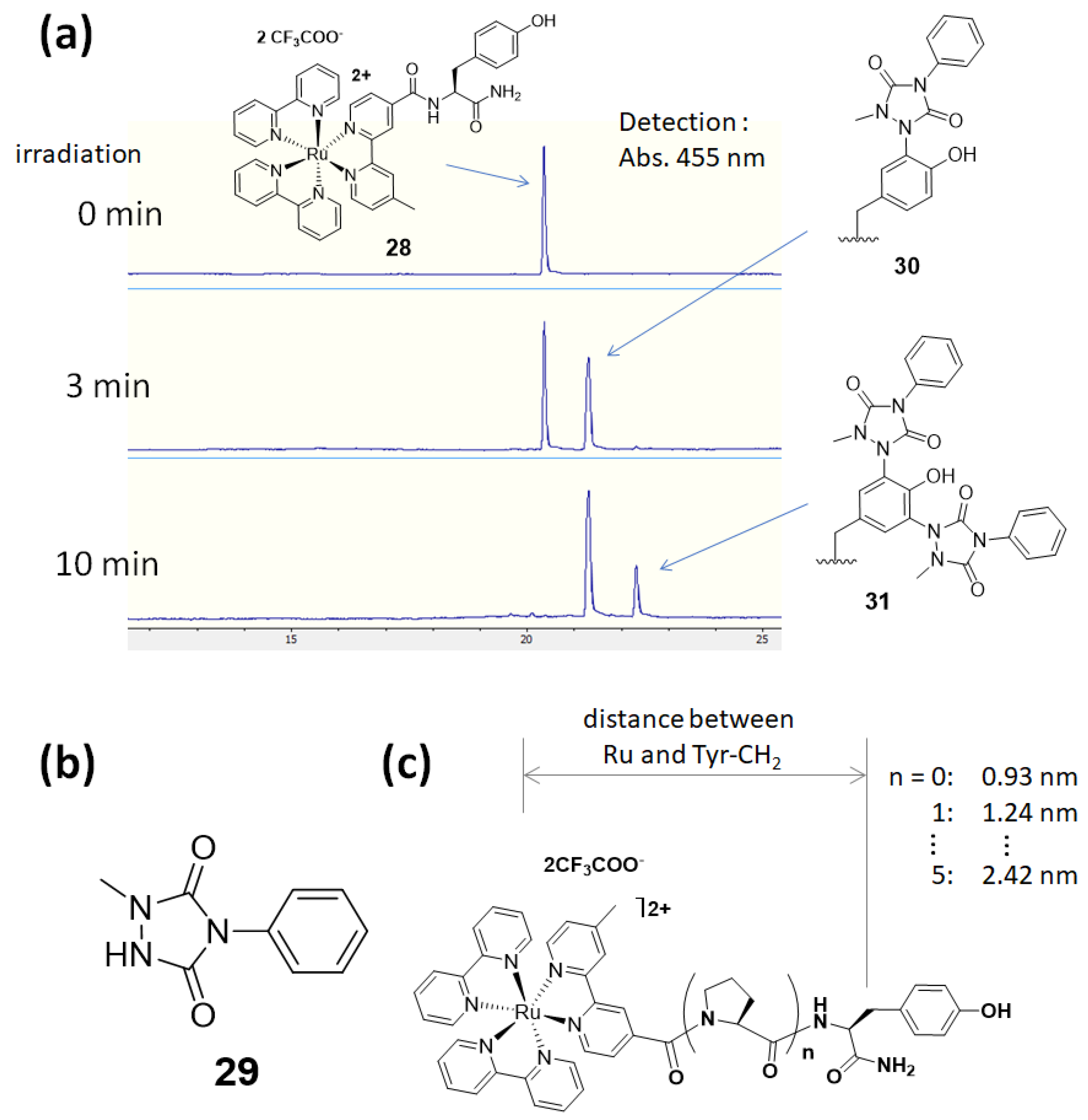 Molecules 24 03980 g009