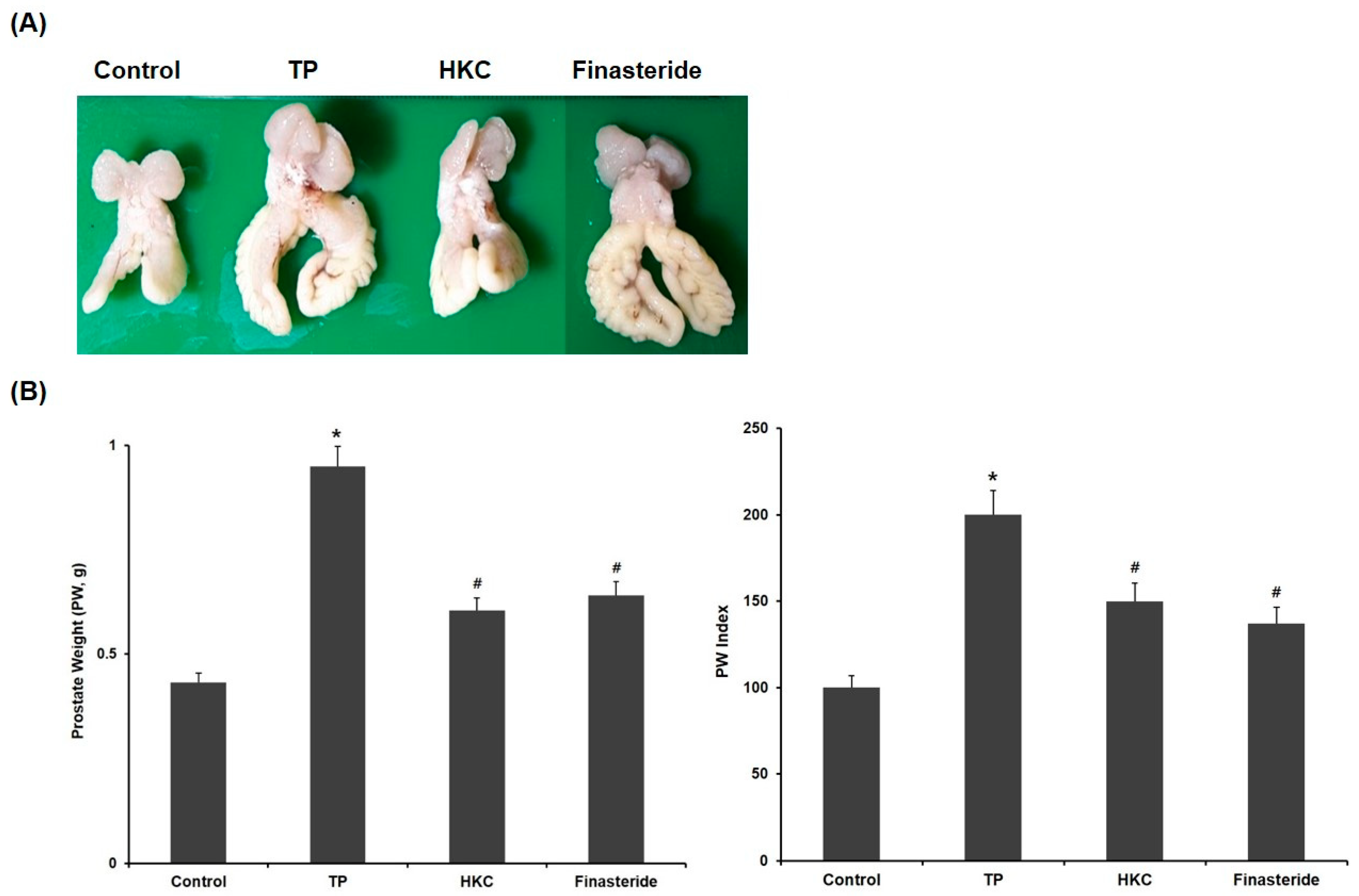 Molecules 24 03981 g002
