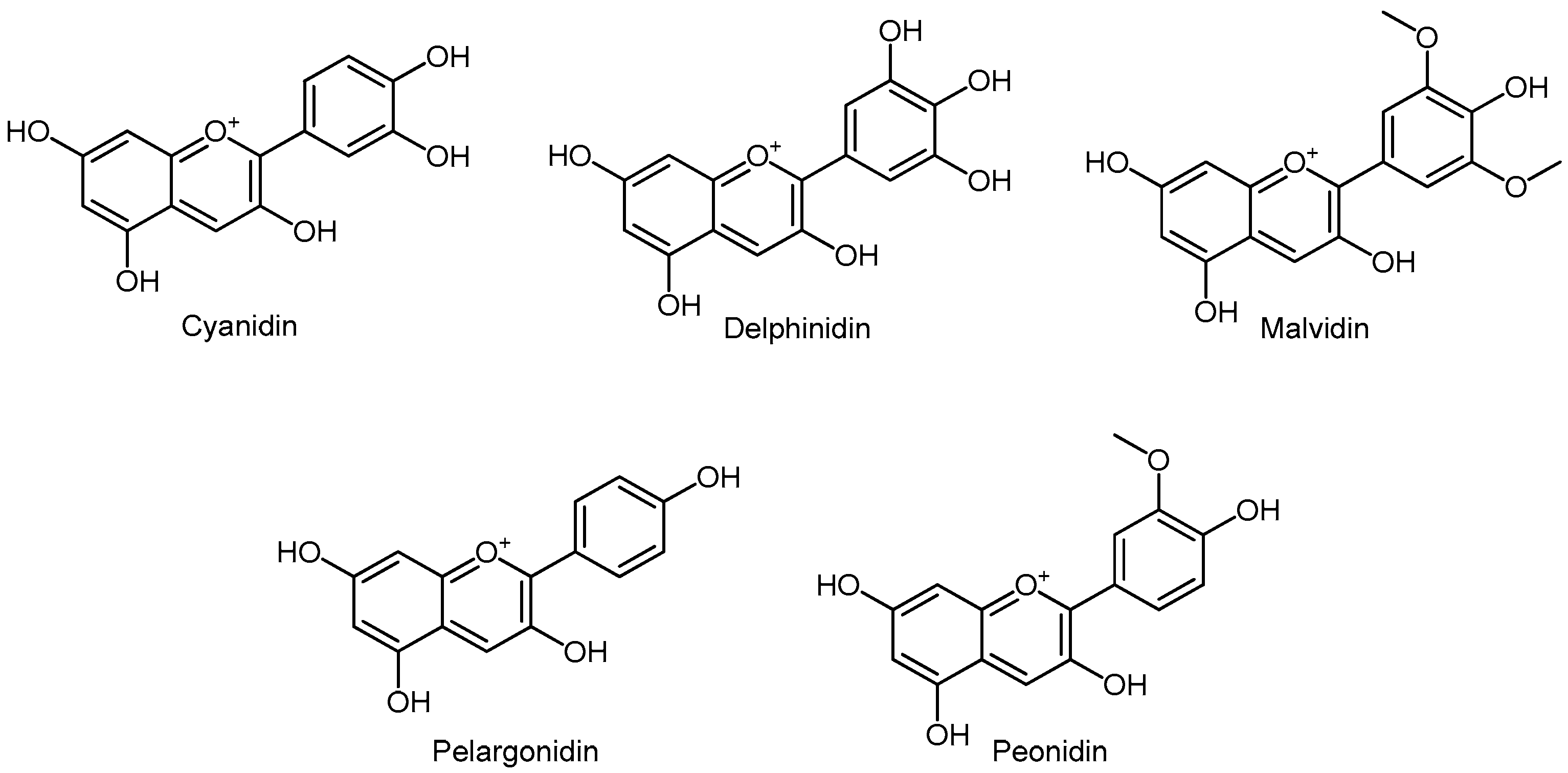 Molecules 24 03982 g009