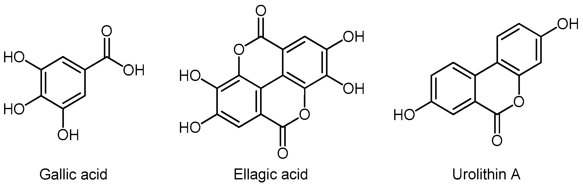 Molecules 24 03982 g010