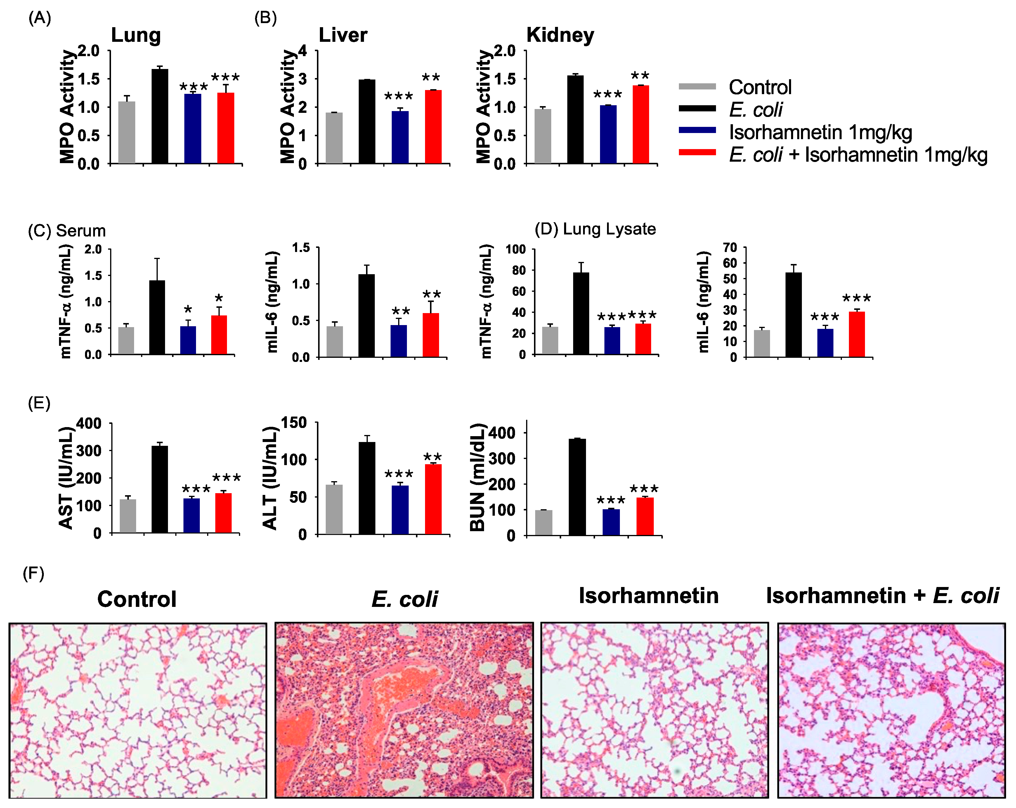 Molecules 24 03984 g003