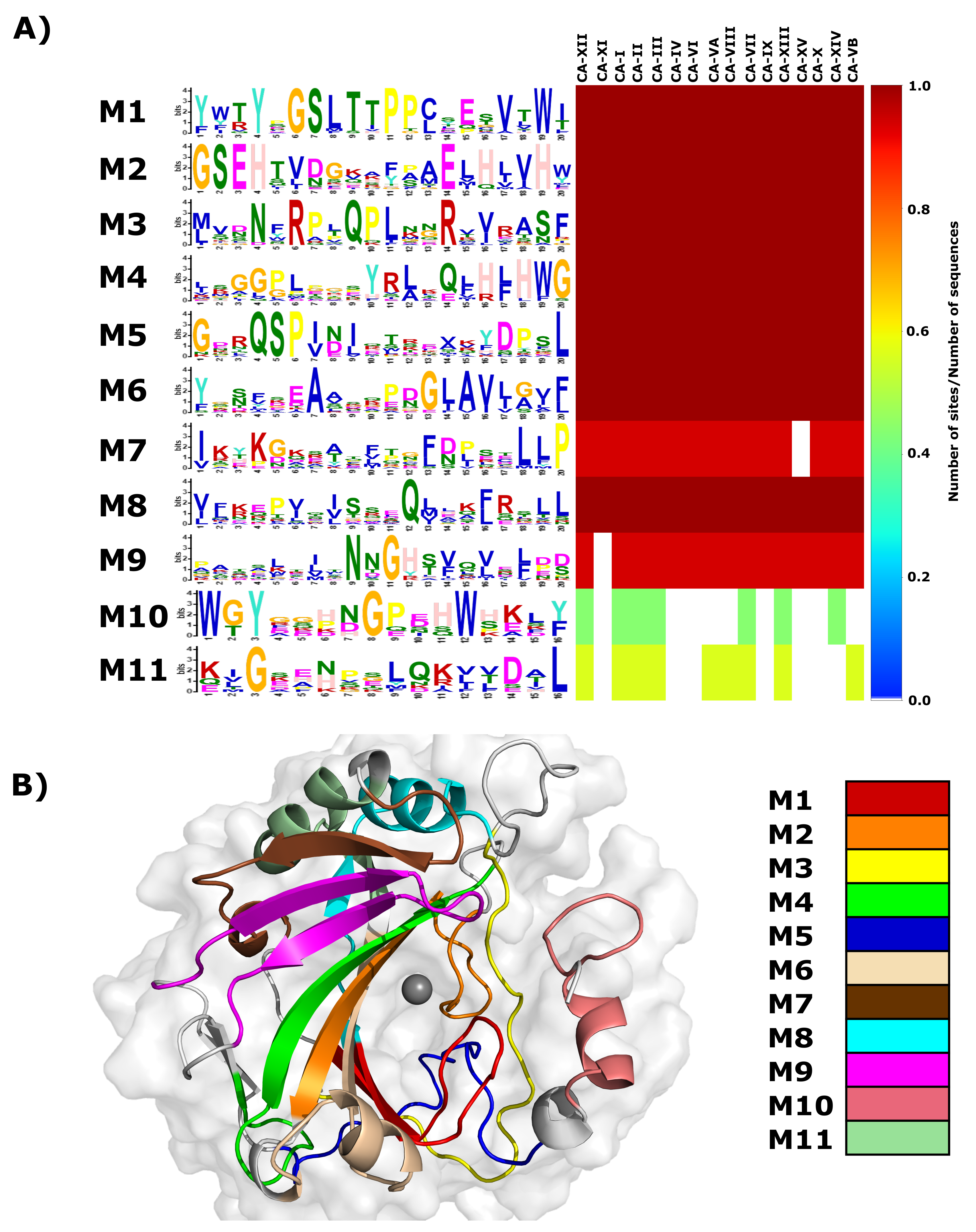 Molecules 24 03987 g002