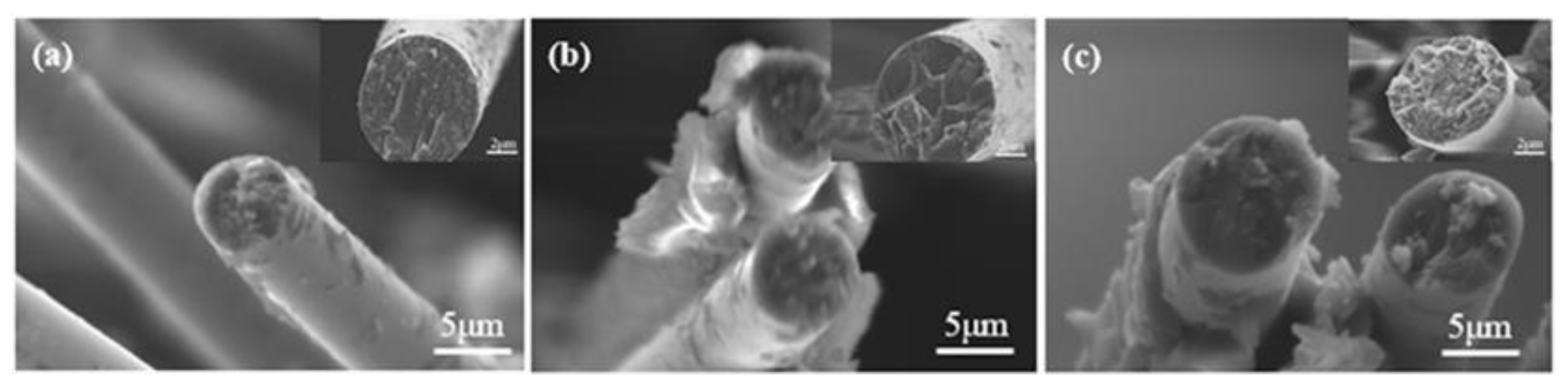 Molecules 24 03989 g004