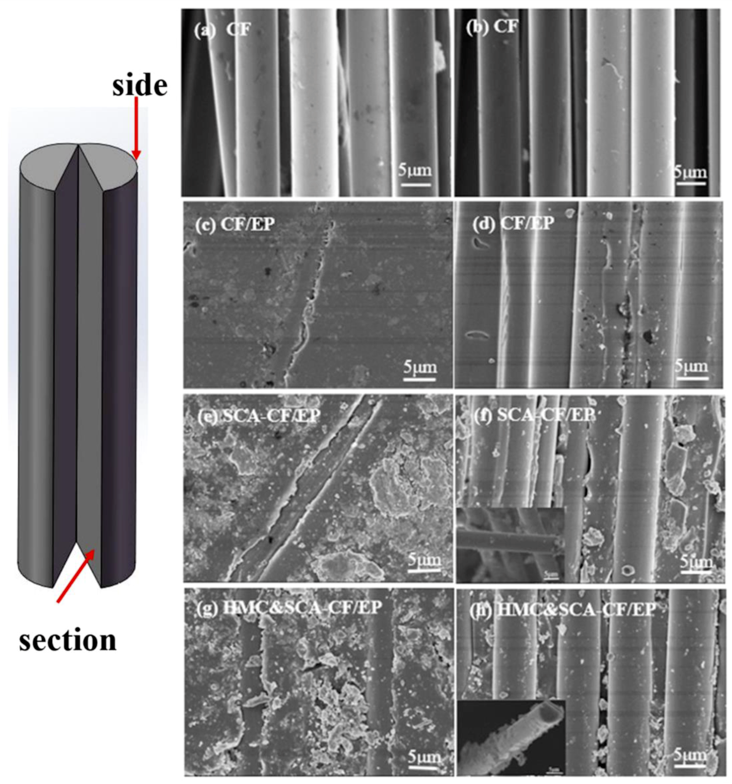 Molecules 24 03989 g005