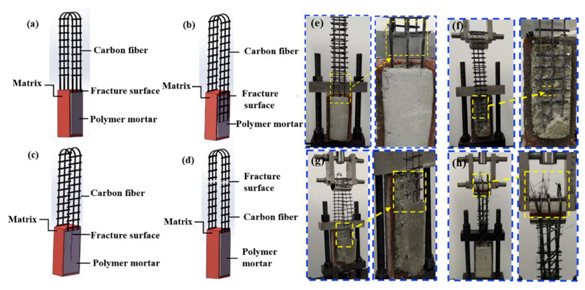 Molecules 24 03989 g007