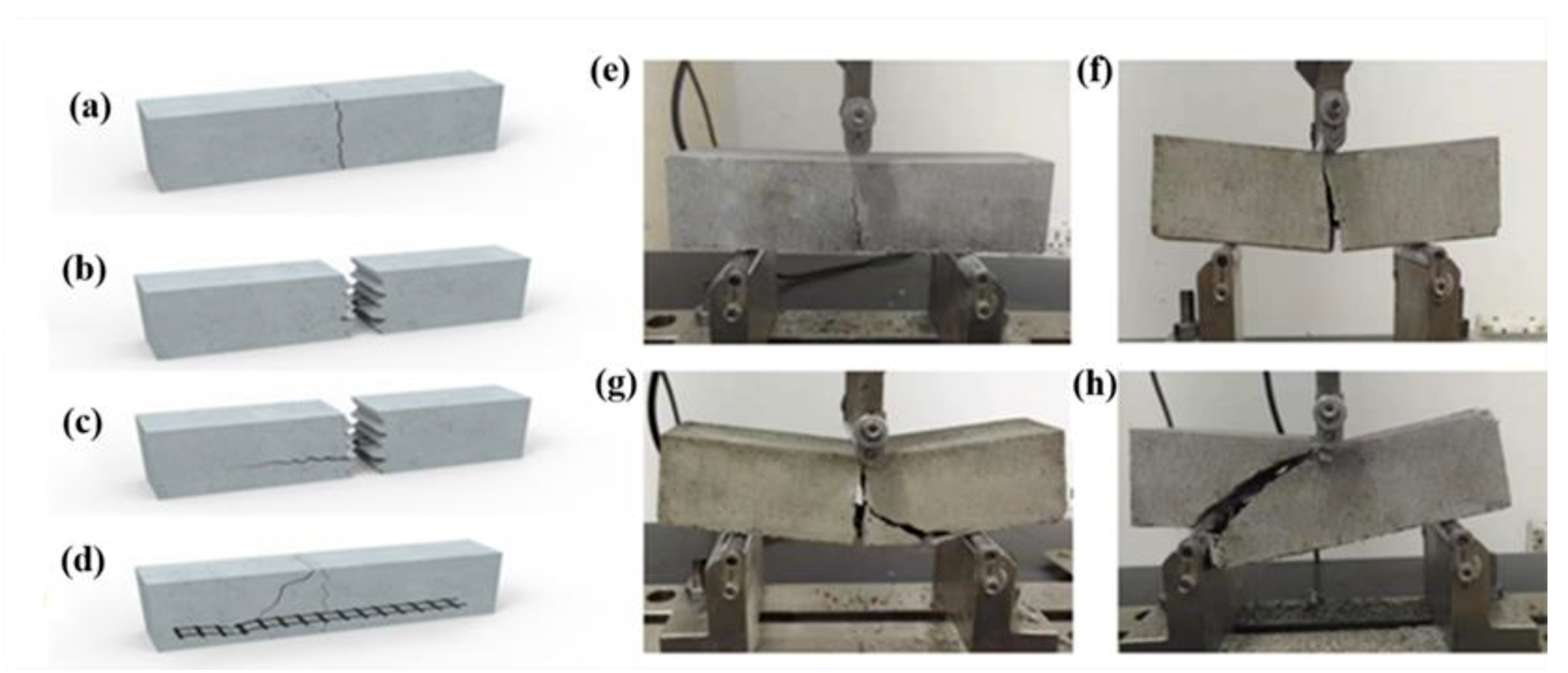Molecules 24 03989 g009