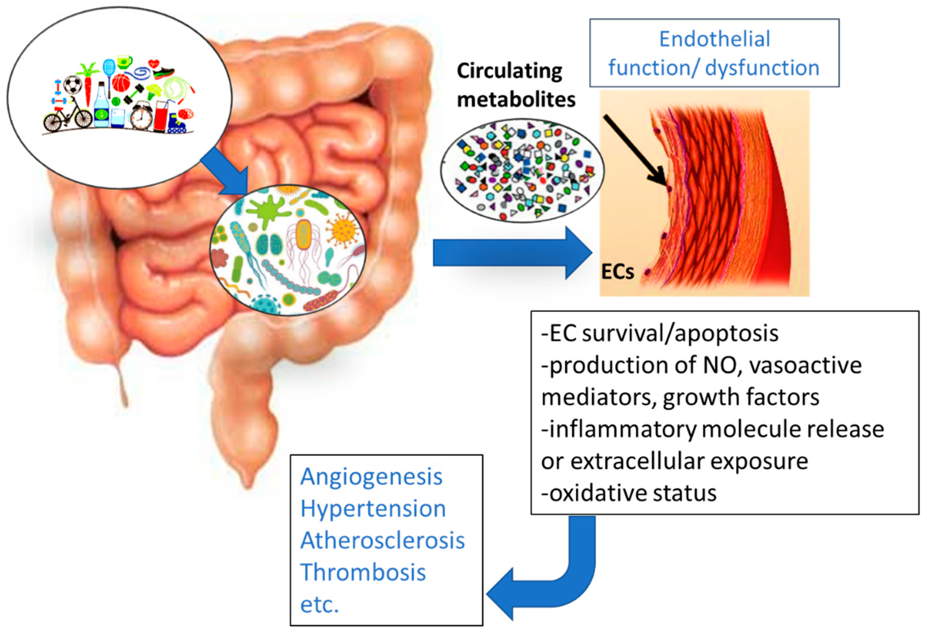 Molecules 24 03992 g002