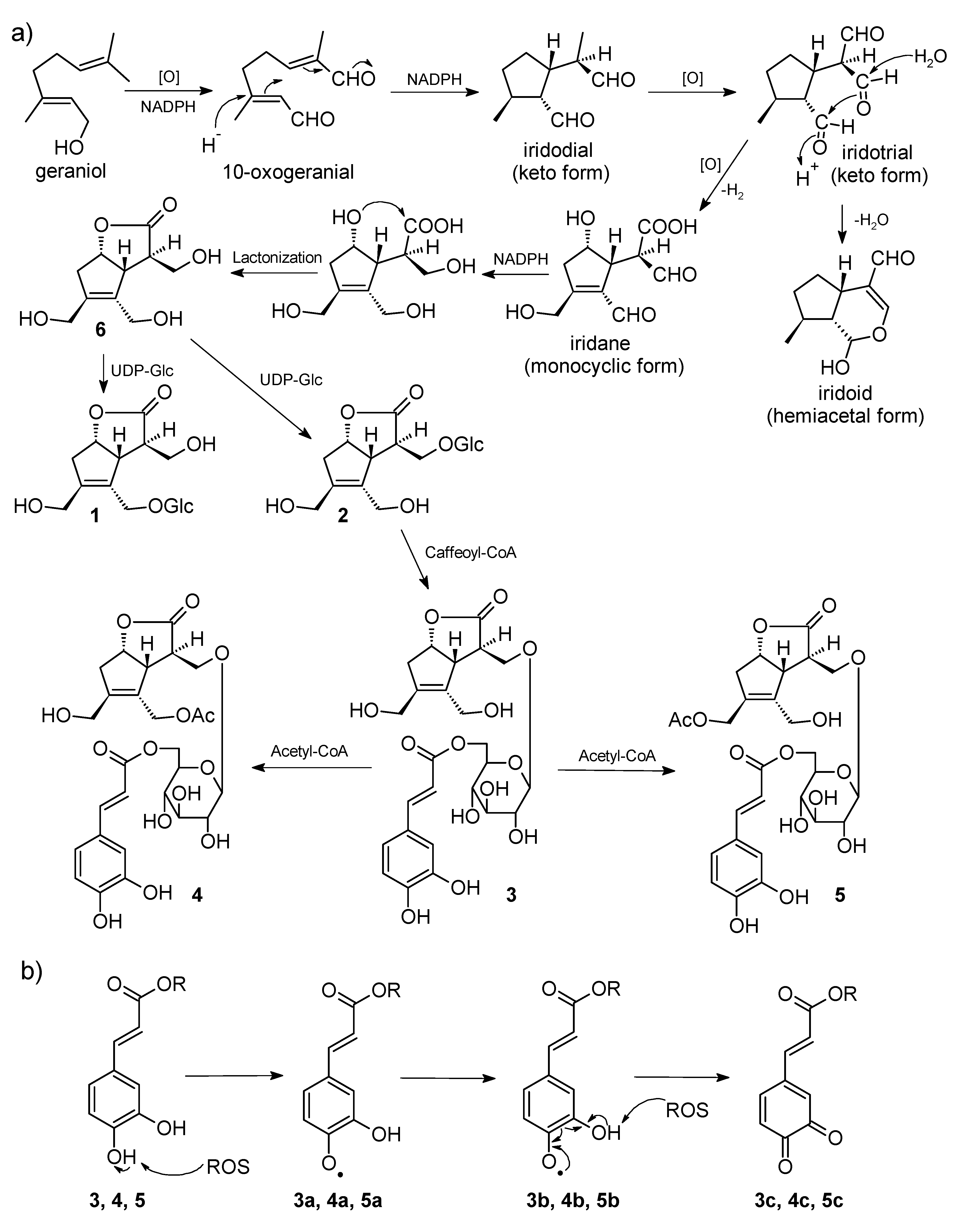 Molecules 24 03995 g004