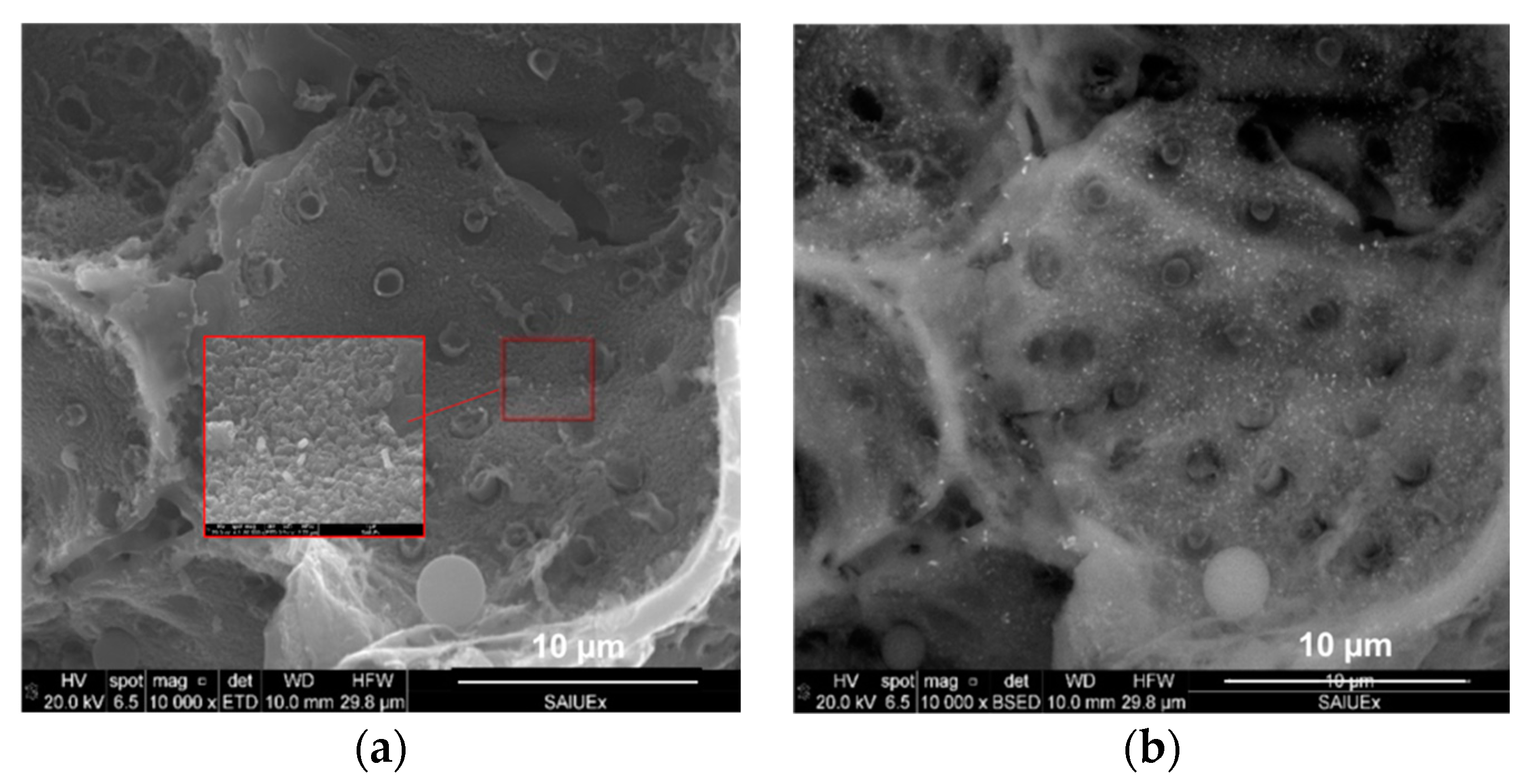 Molecules 24 03996 g004 Molecules 24 03996 g004