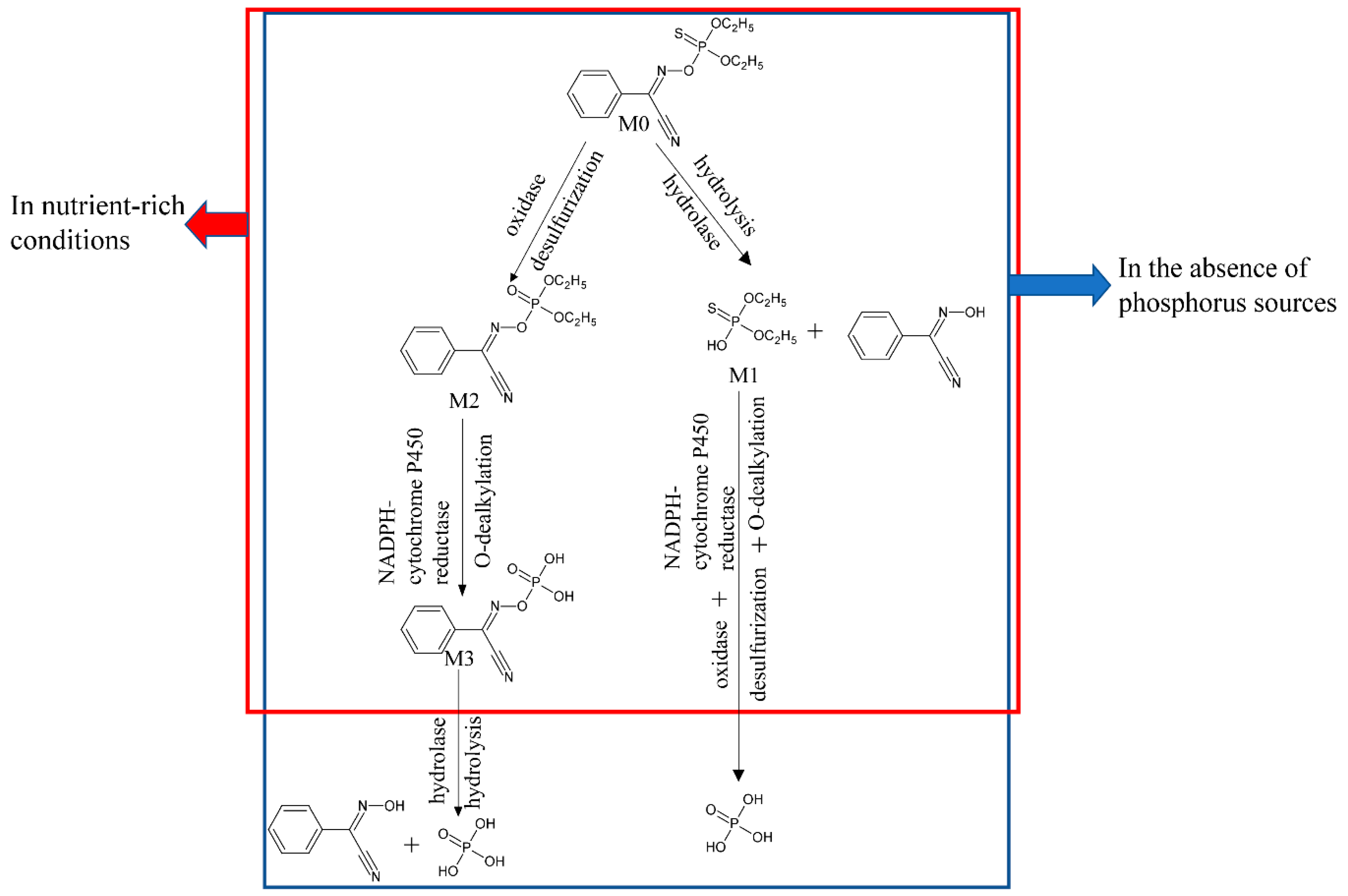 Molecules 24 03997 g005 Molecules 24 03997 g005