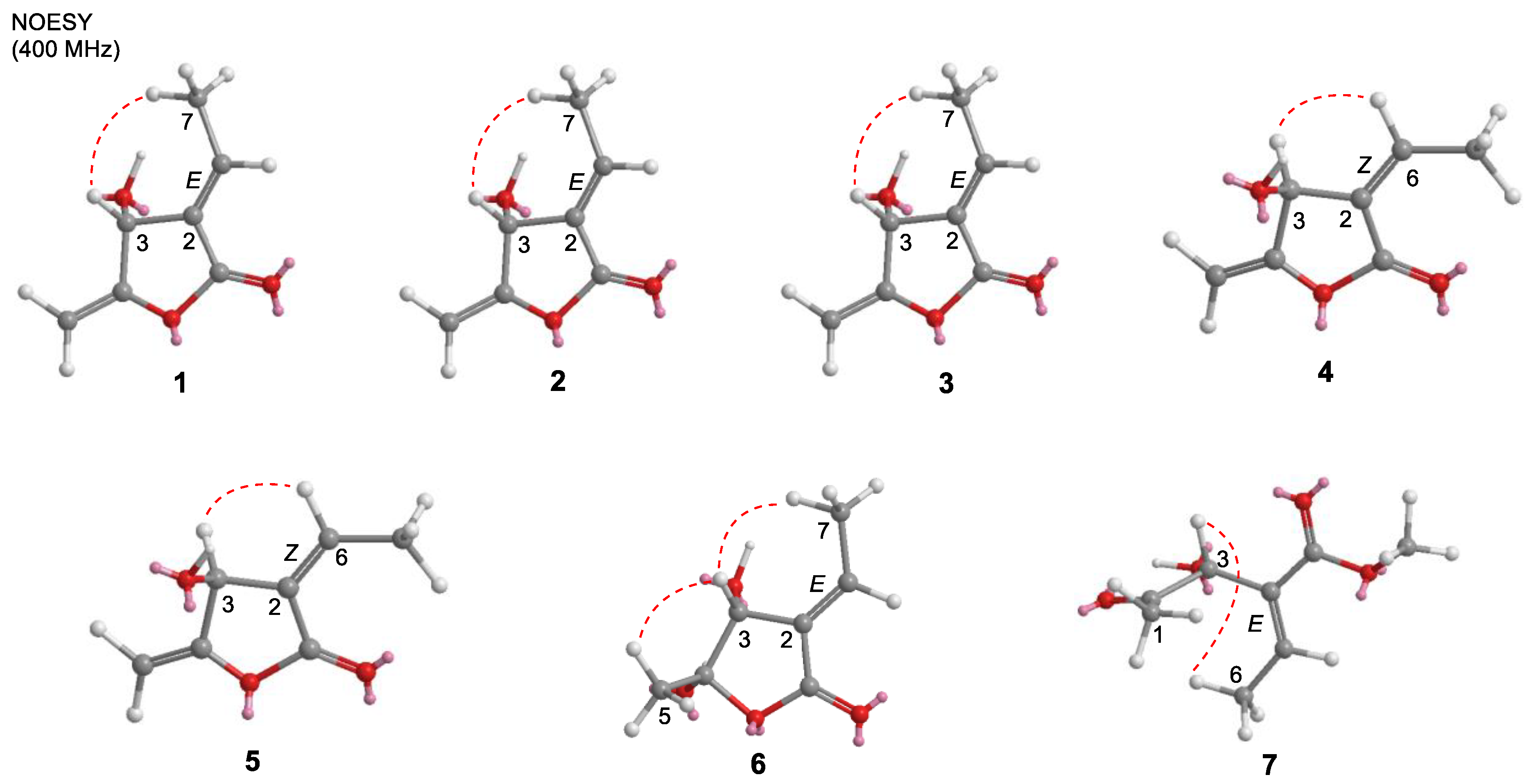 Molecules 24 04005 g003