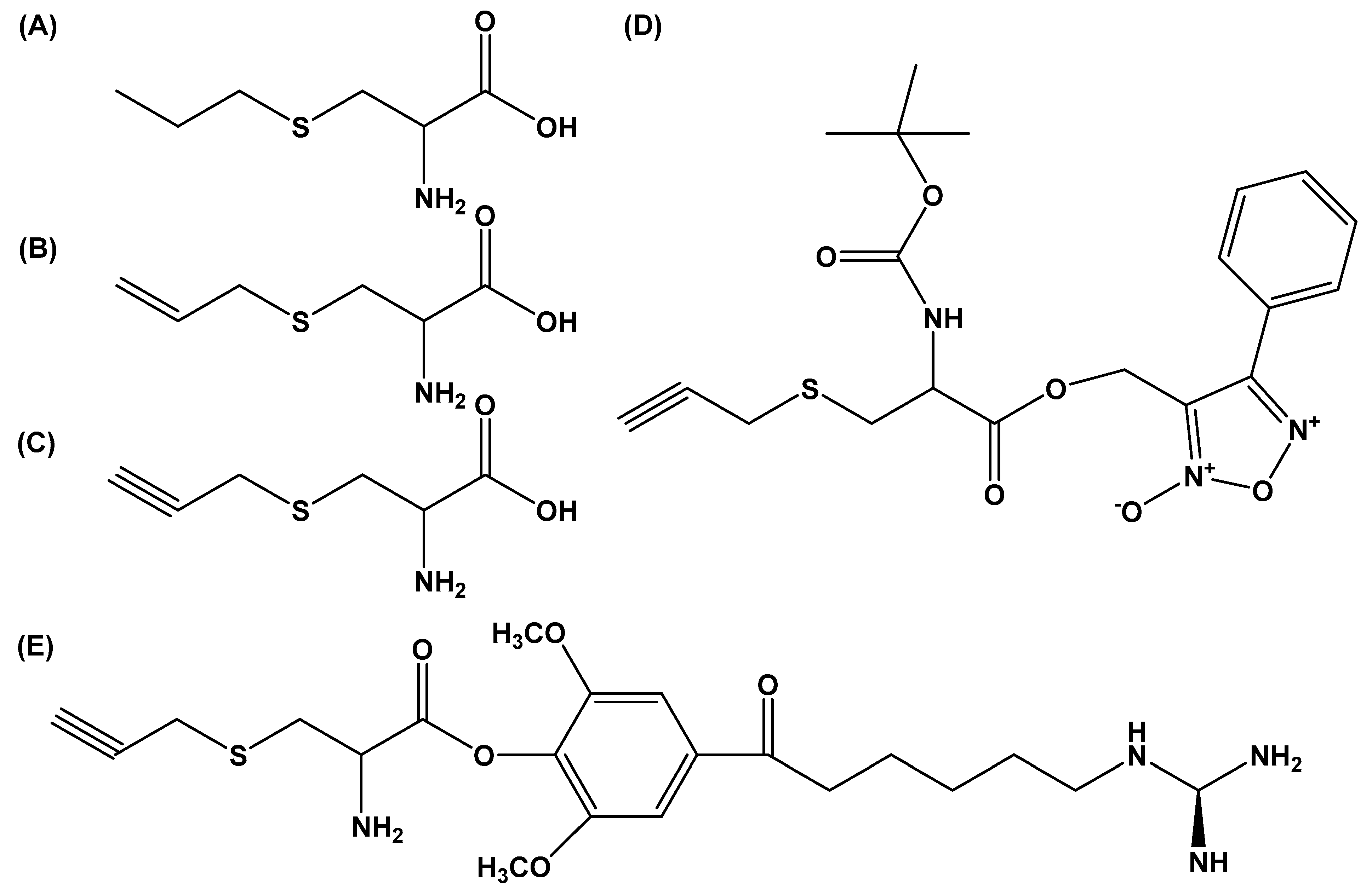 Molecules 24 04006 g006