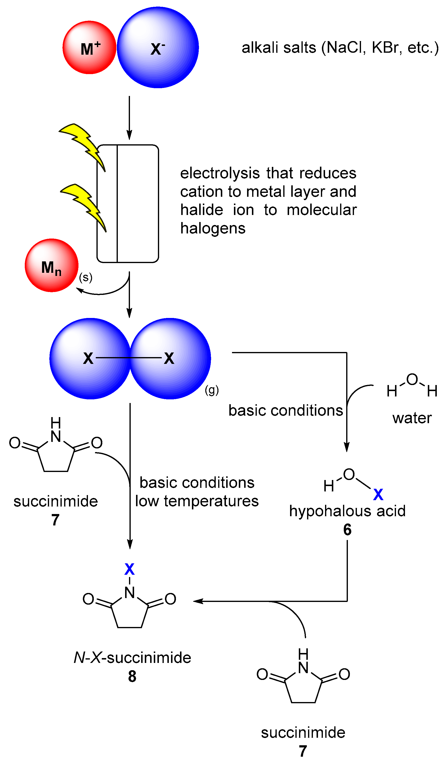 Molecules 24 04008 g003
