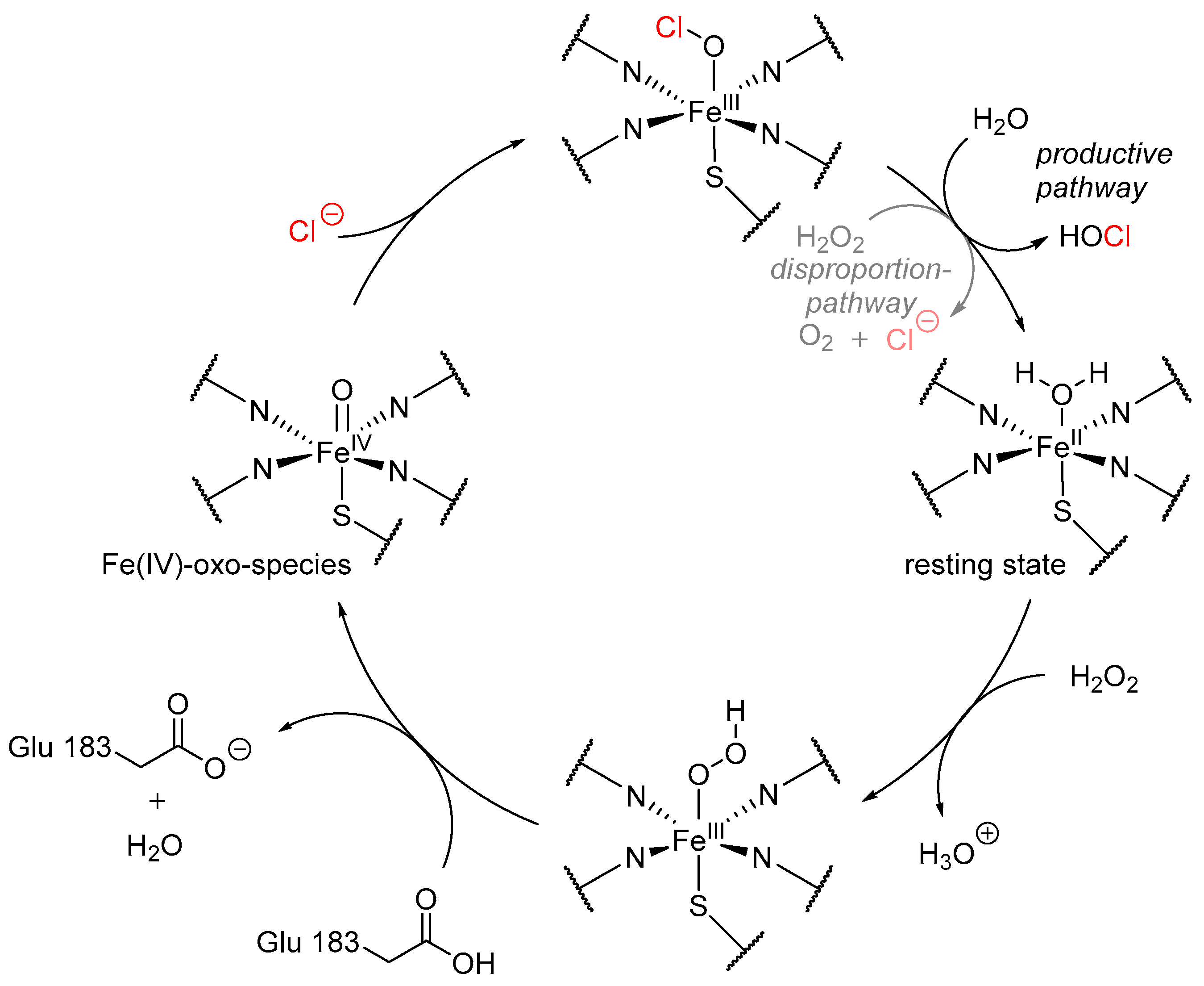 Molecules 24 04008 g007