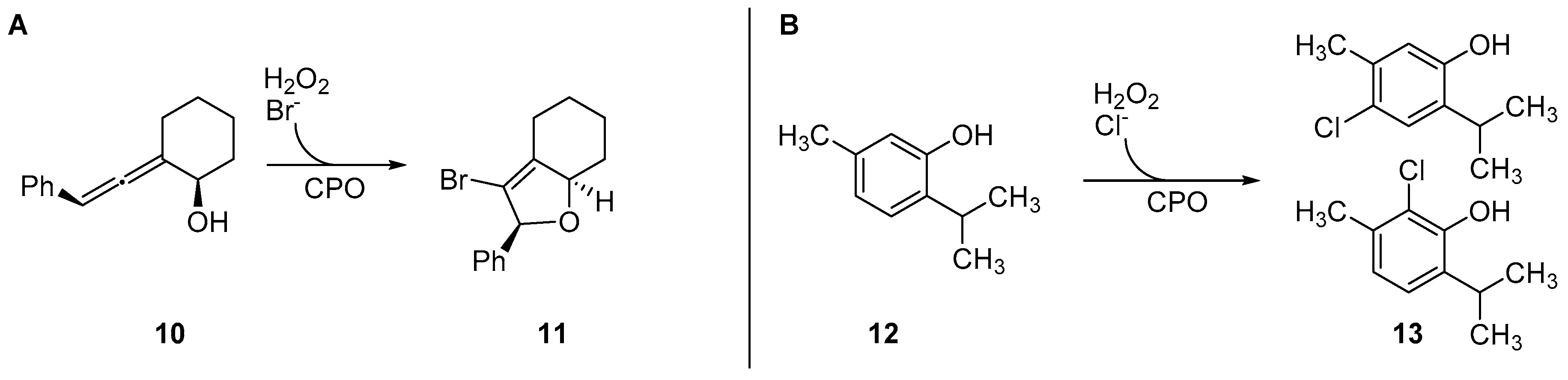 Molecules 24 04008 g008