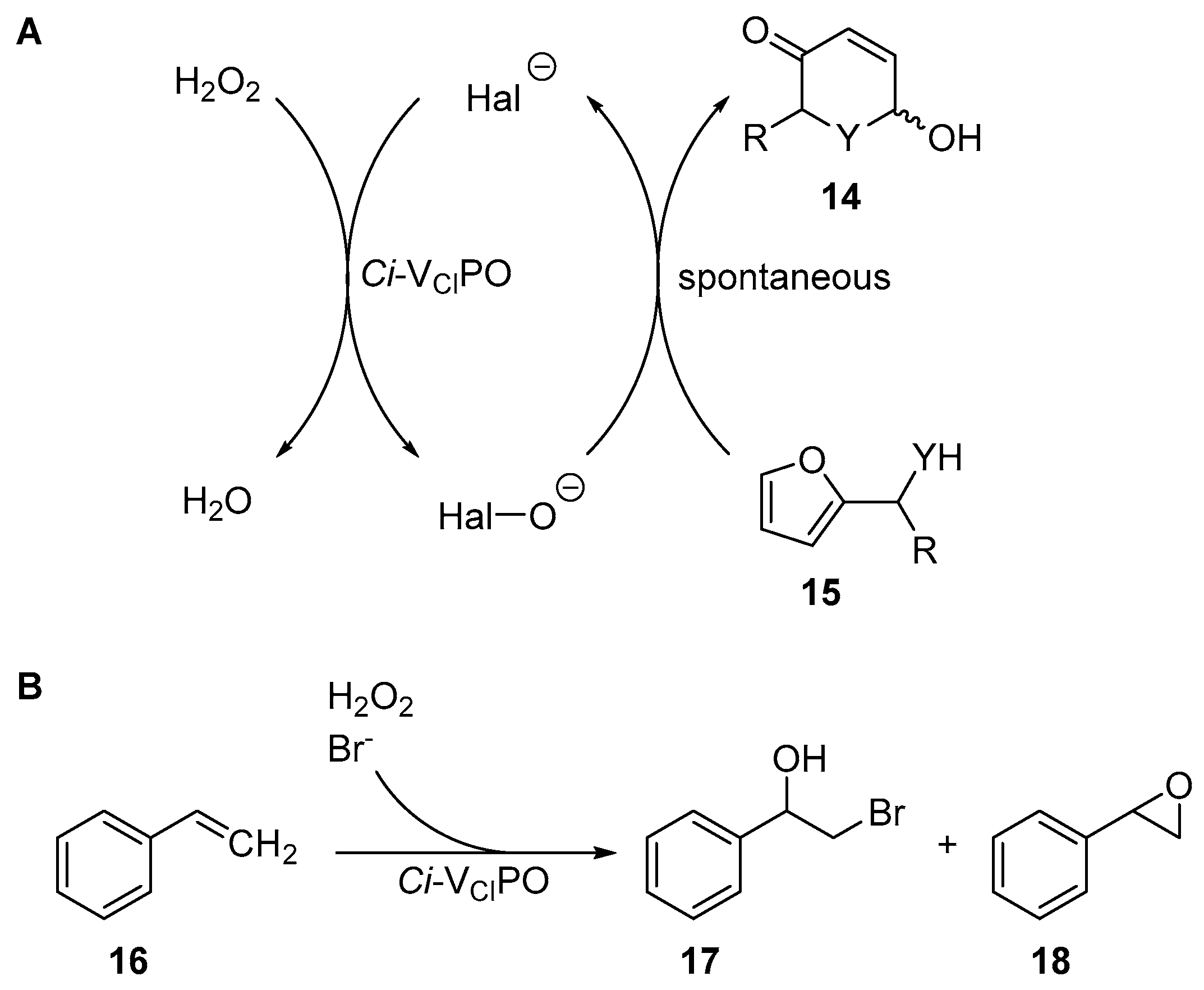 Molecules 24 04008 g010