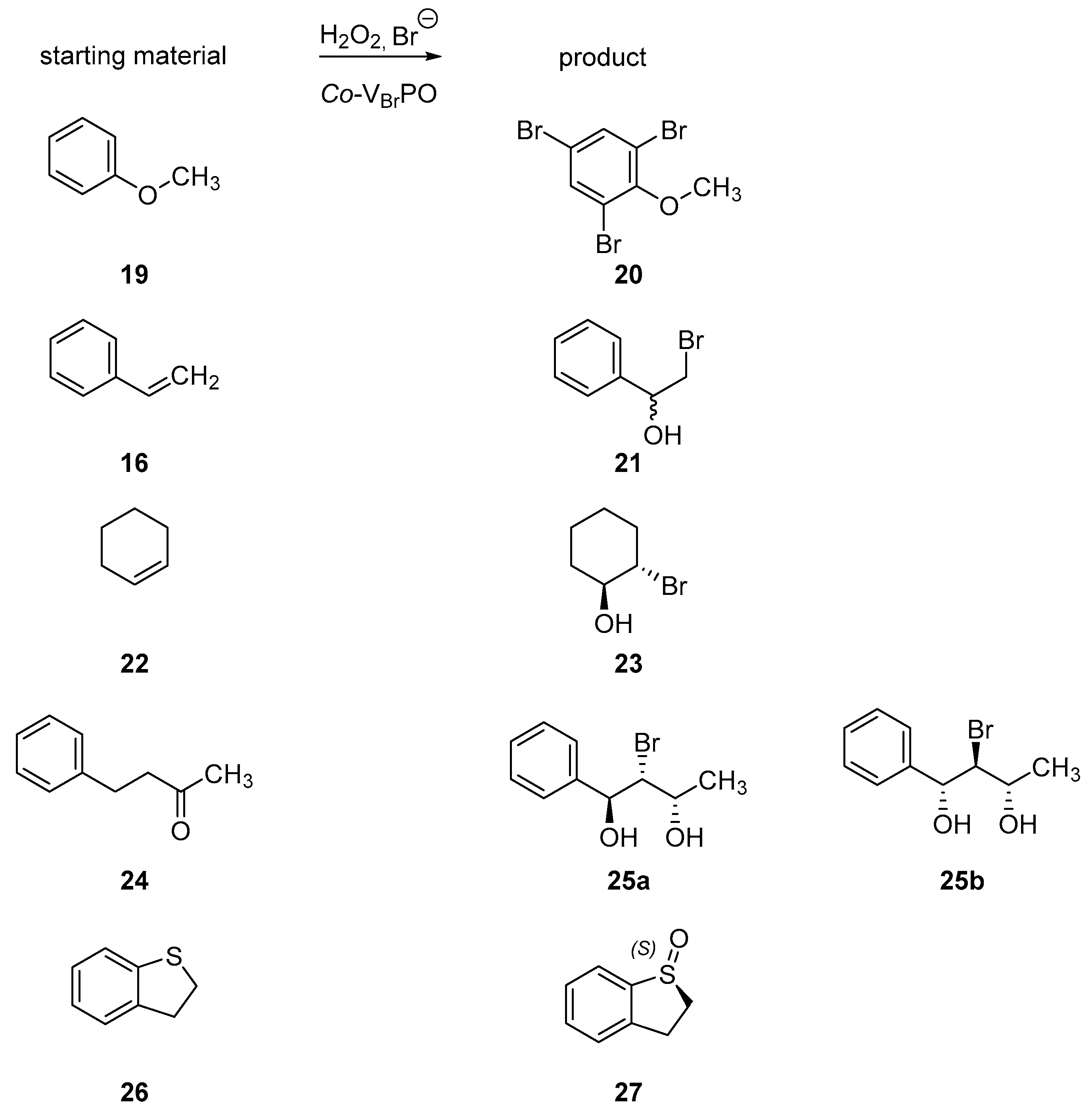Molecules 24 04008 g011