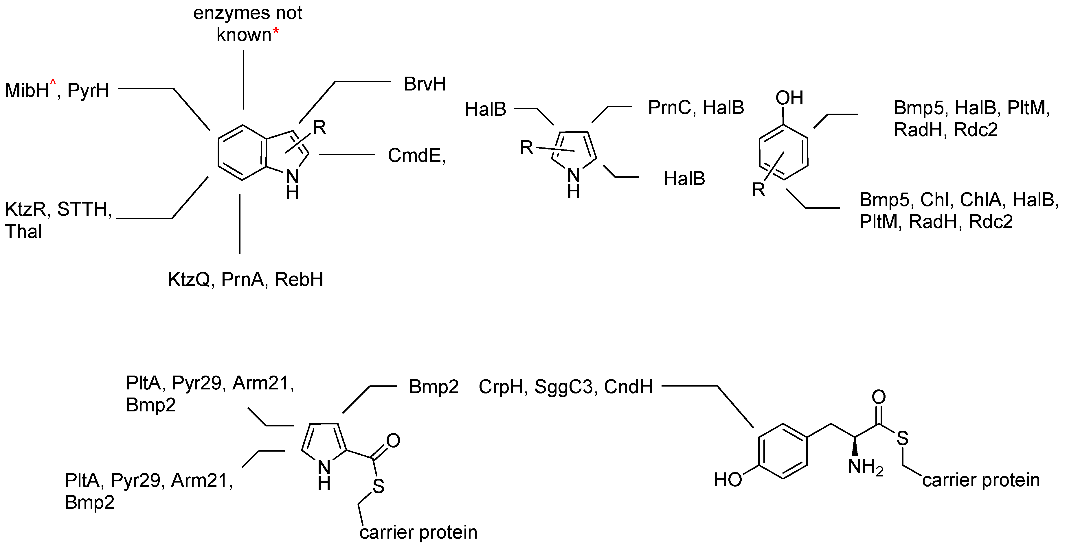 Molecules 24 04008 g014