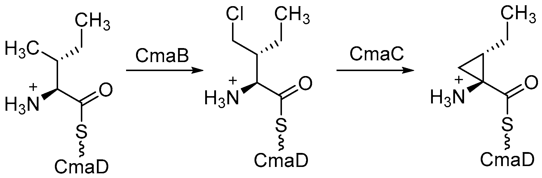 Molecules 24 04008 g017