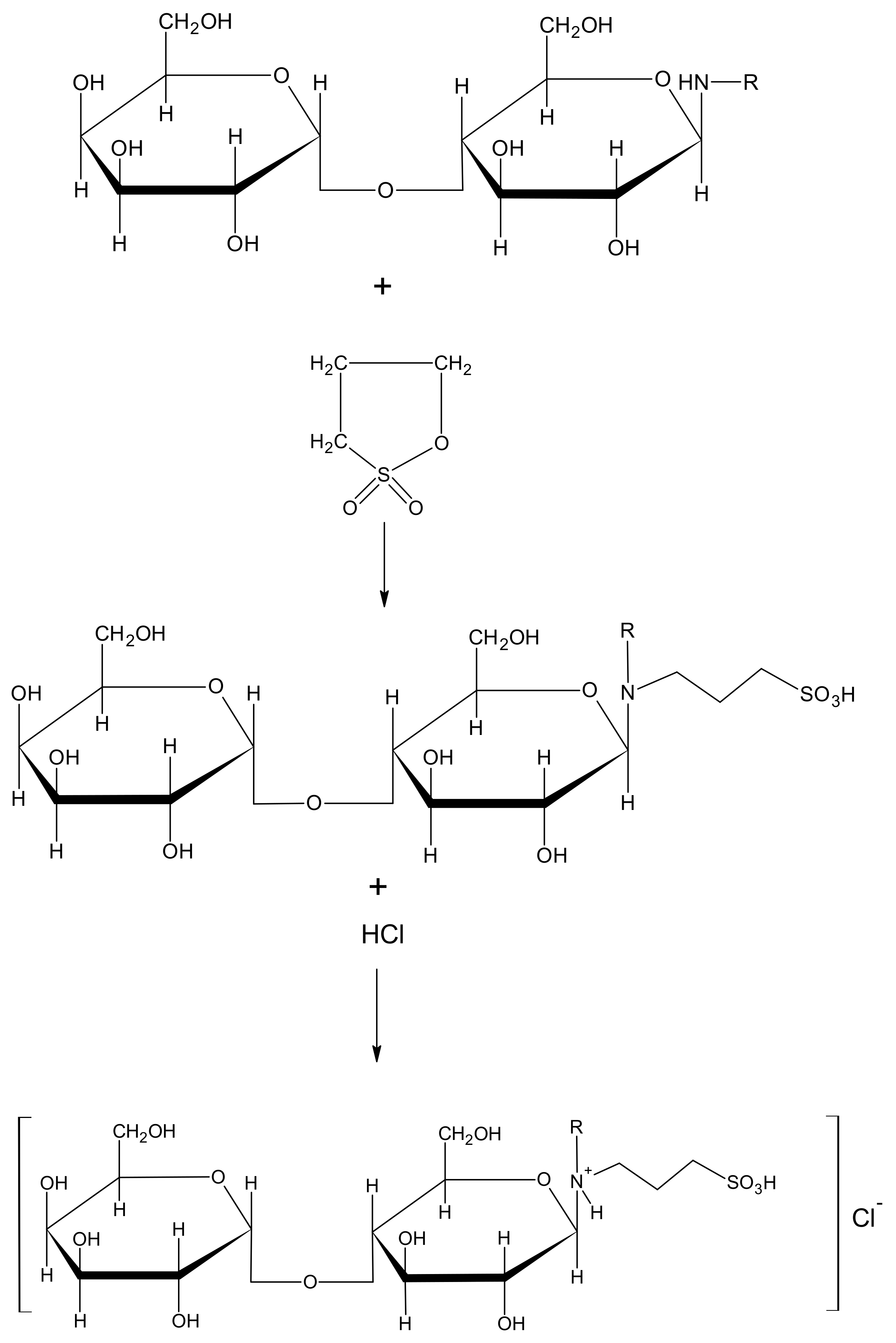 Molecules 24 04010 g001