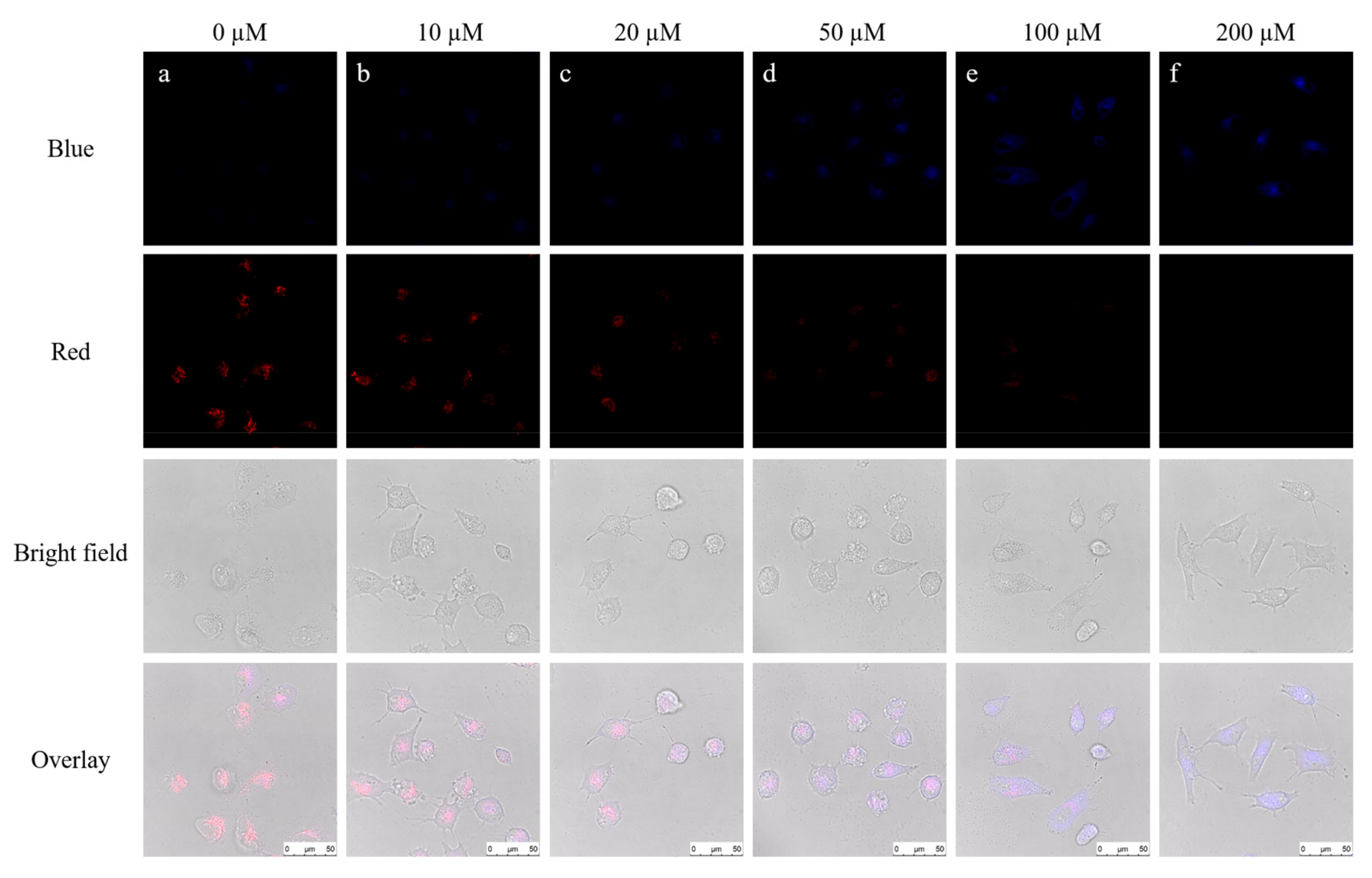 Molecules 24 04011 g006