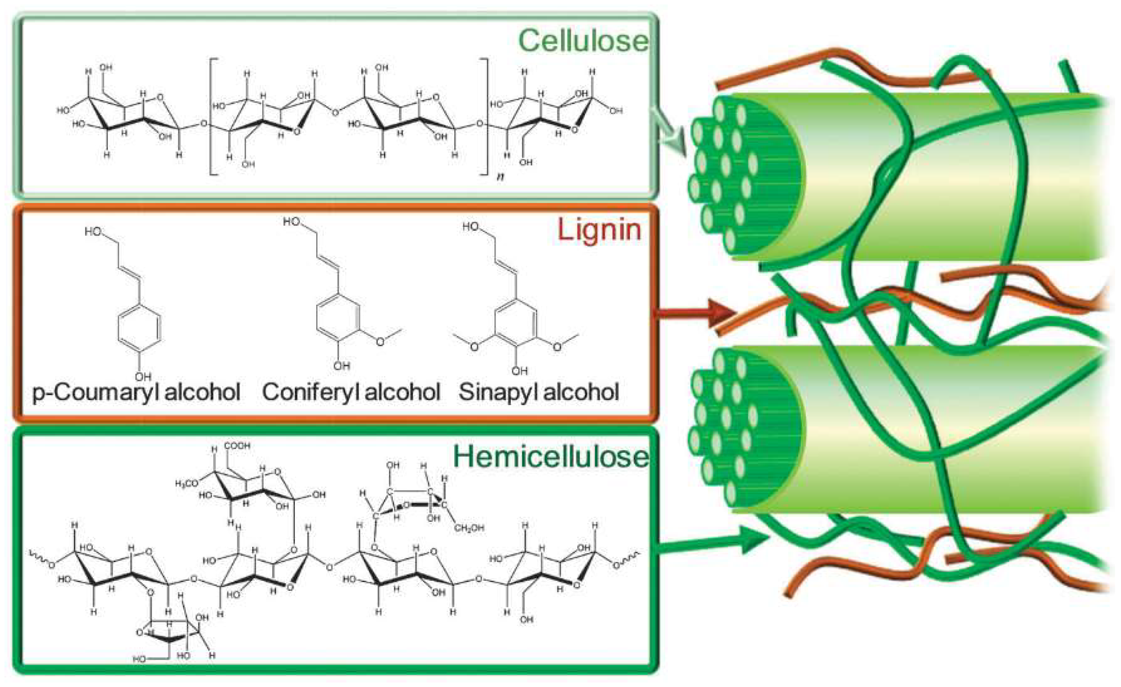 Molecules 24 04012 g002 Molecules 24 04012 g002