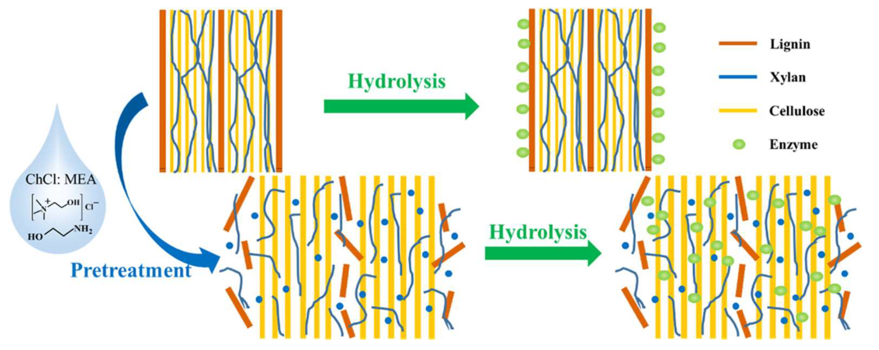 Molecules 24 04012 g009 Molecules 24 04012 g009