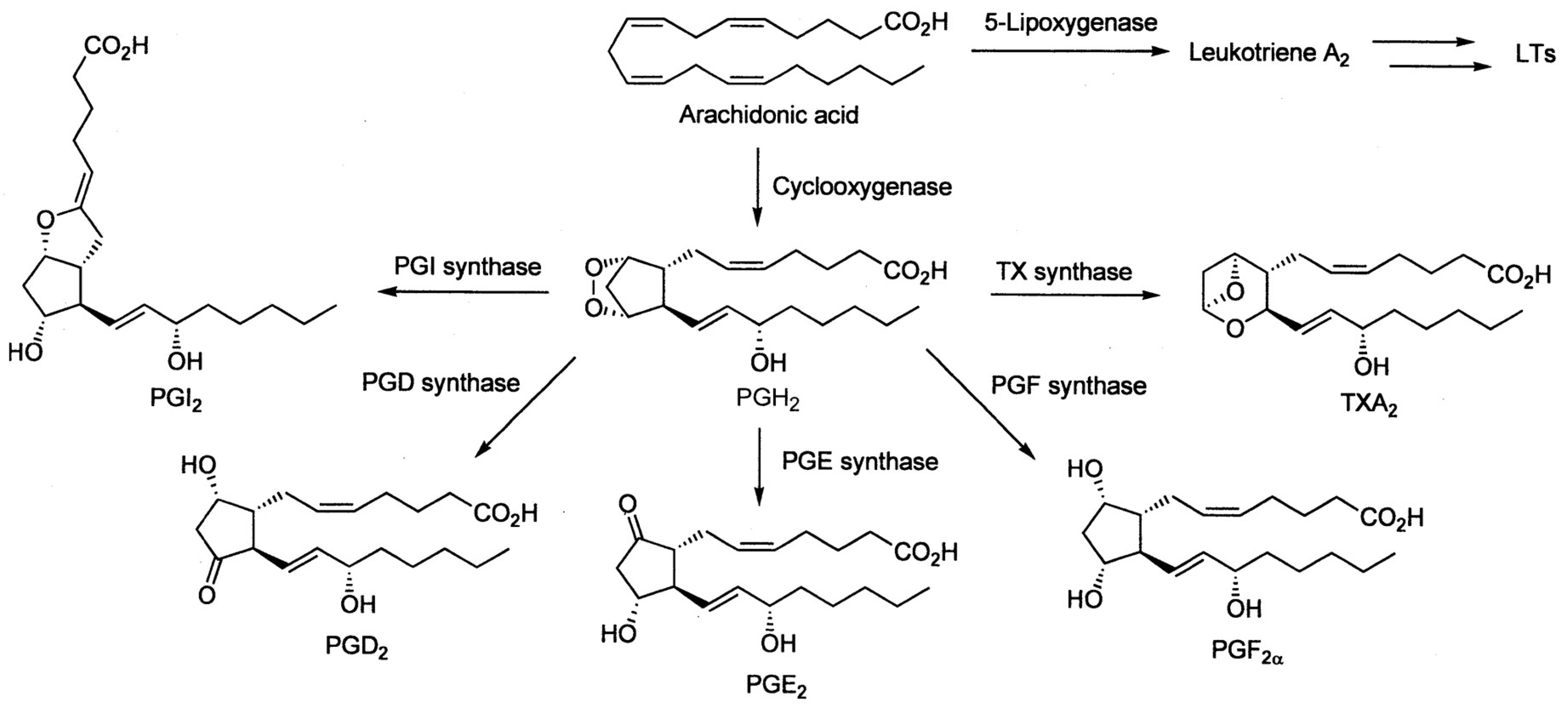 Molecules 24 04019 g001