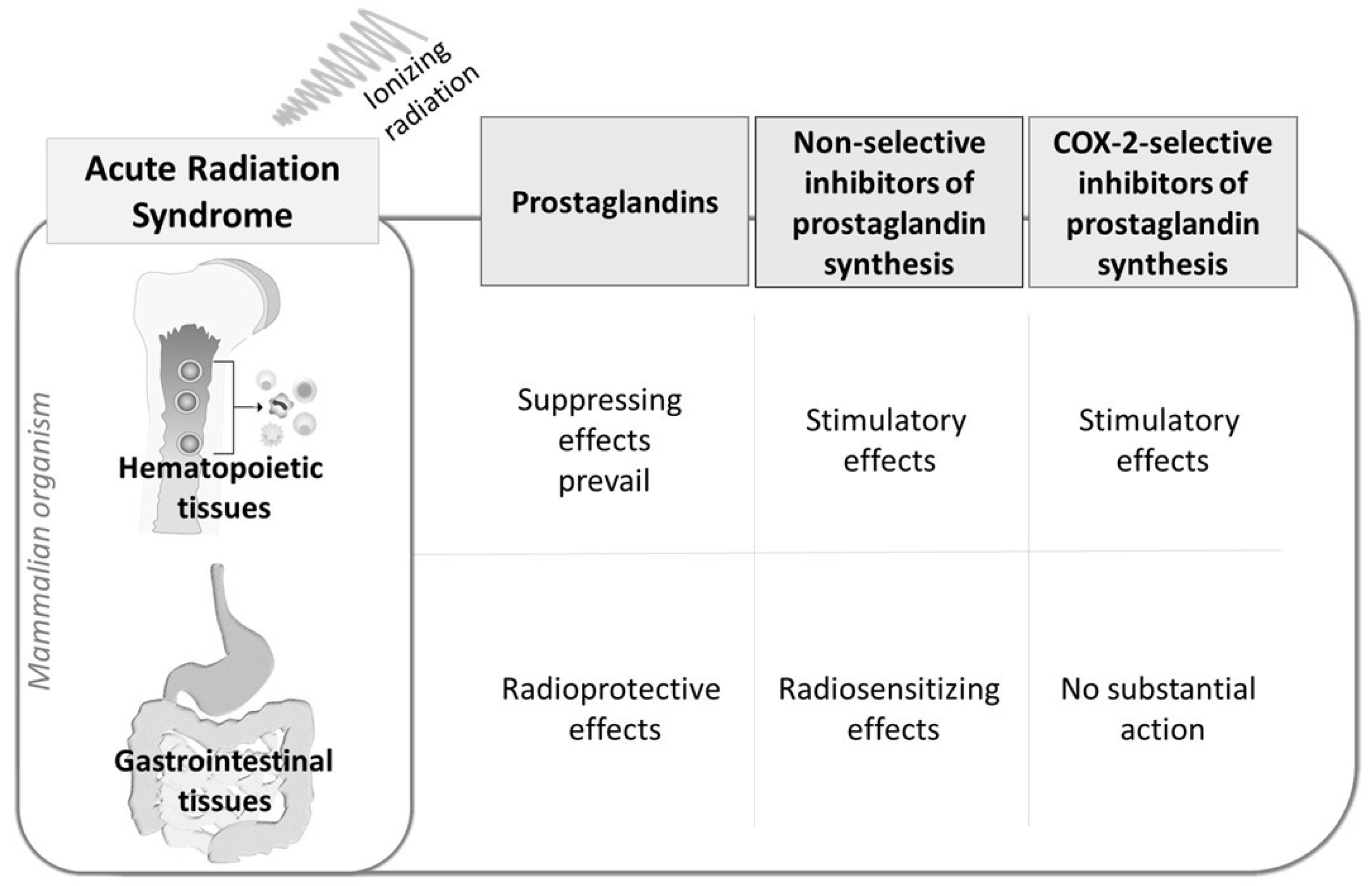 Molecules 24 04019 g002