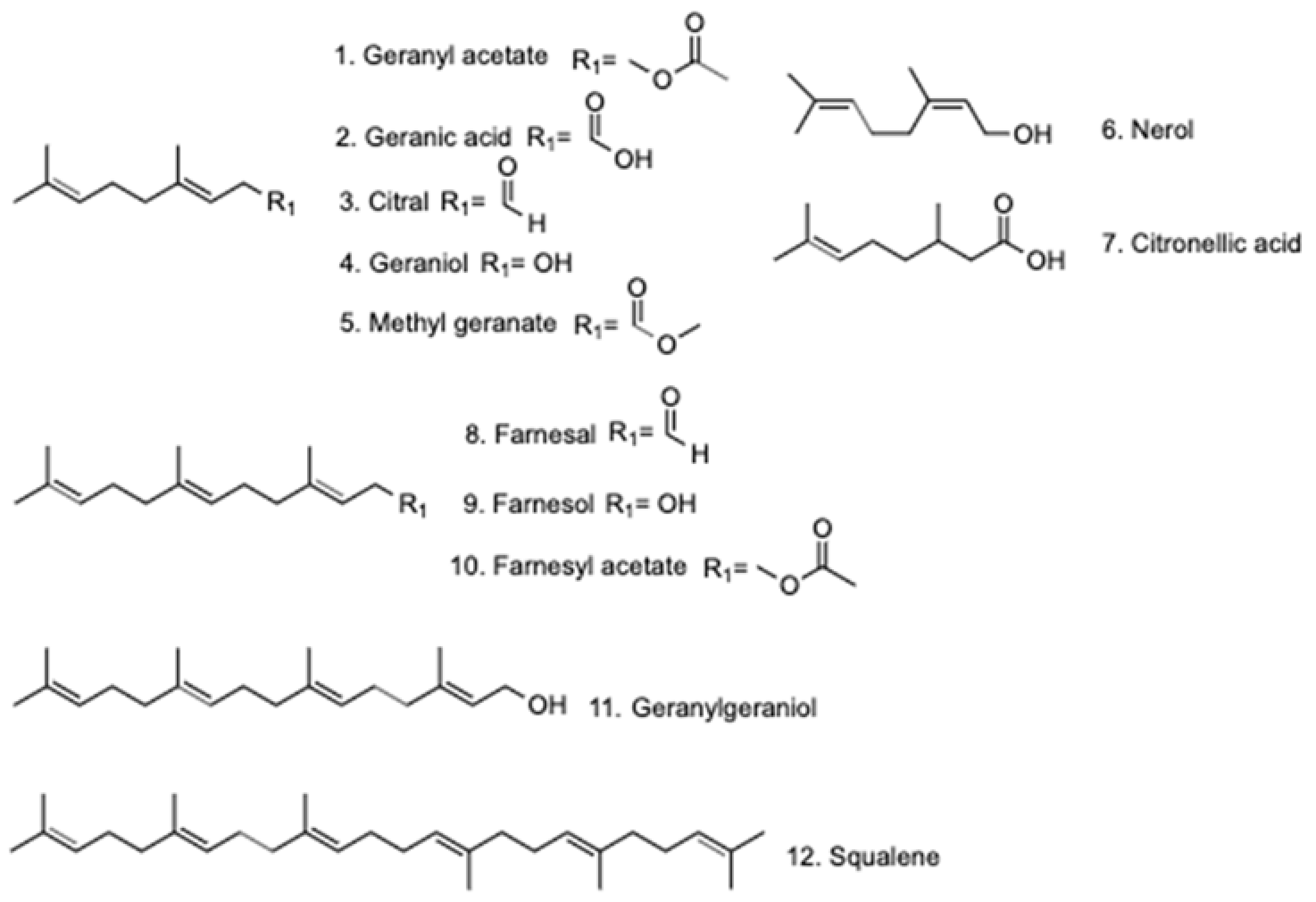 Molecules 24 04020 g001 Molecules 24 04020 g001