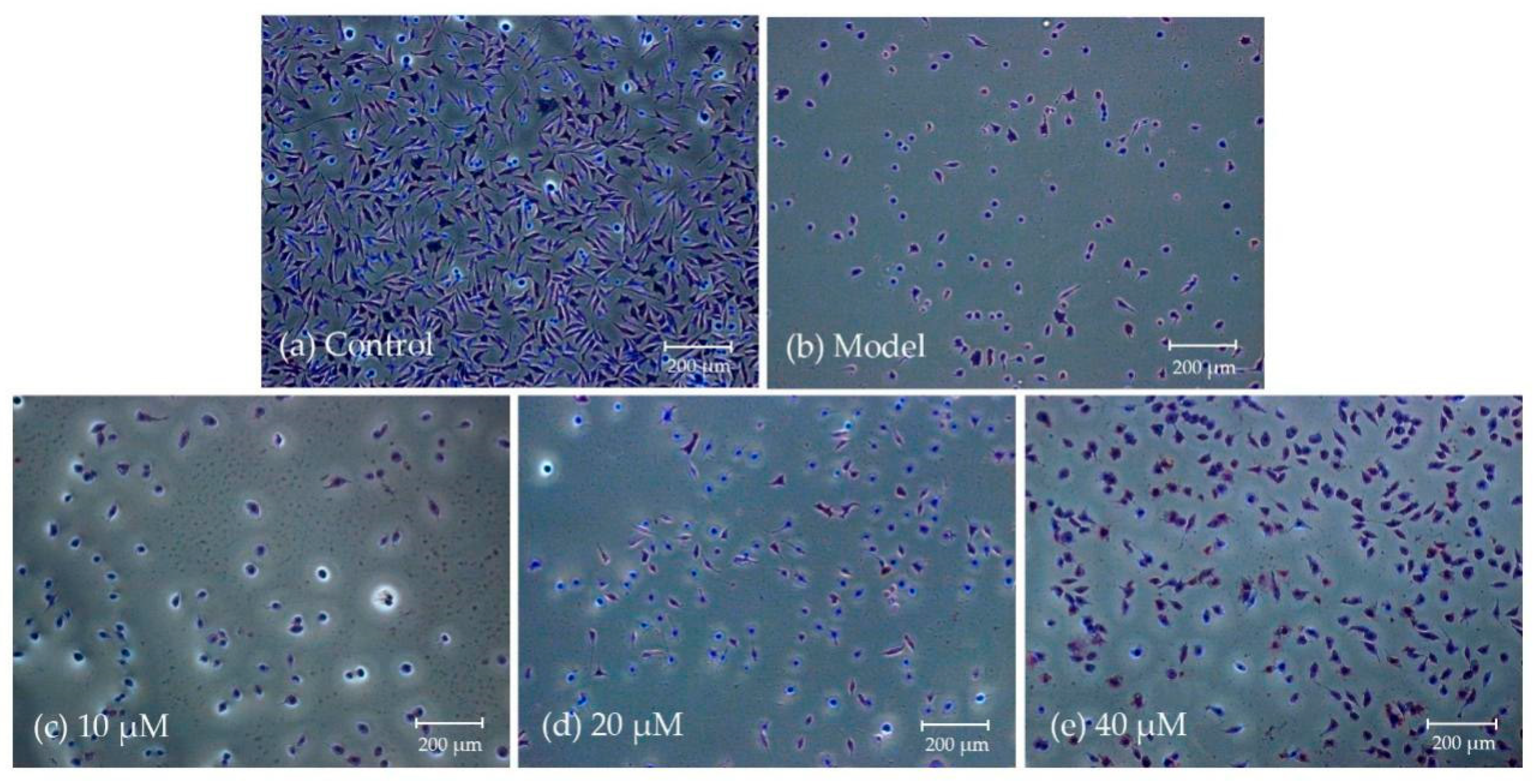 Molecules 24 04025 g002