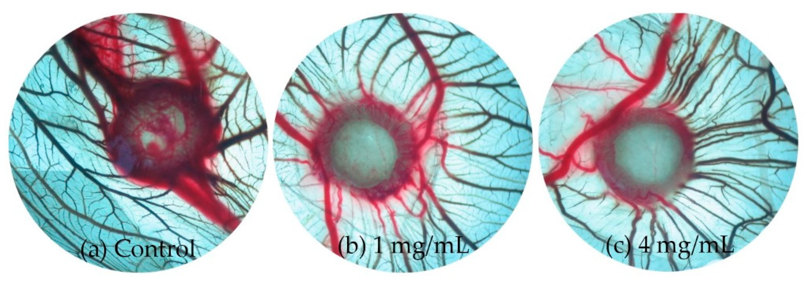 Molecules 24 04025 g004