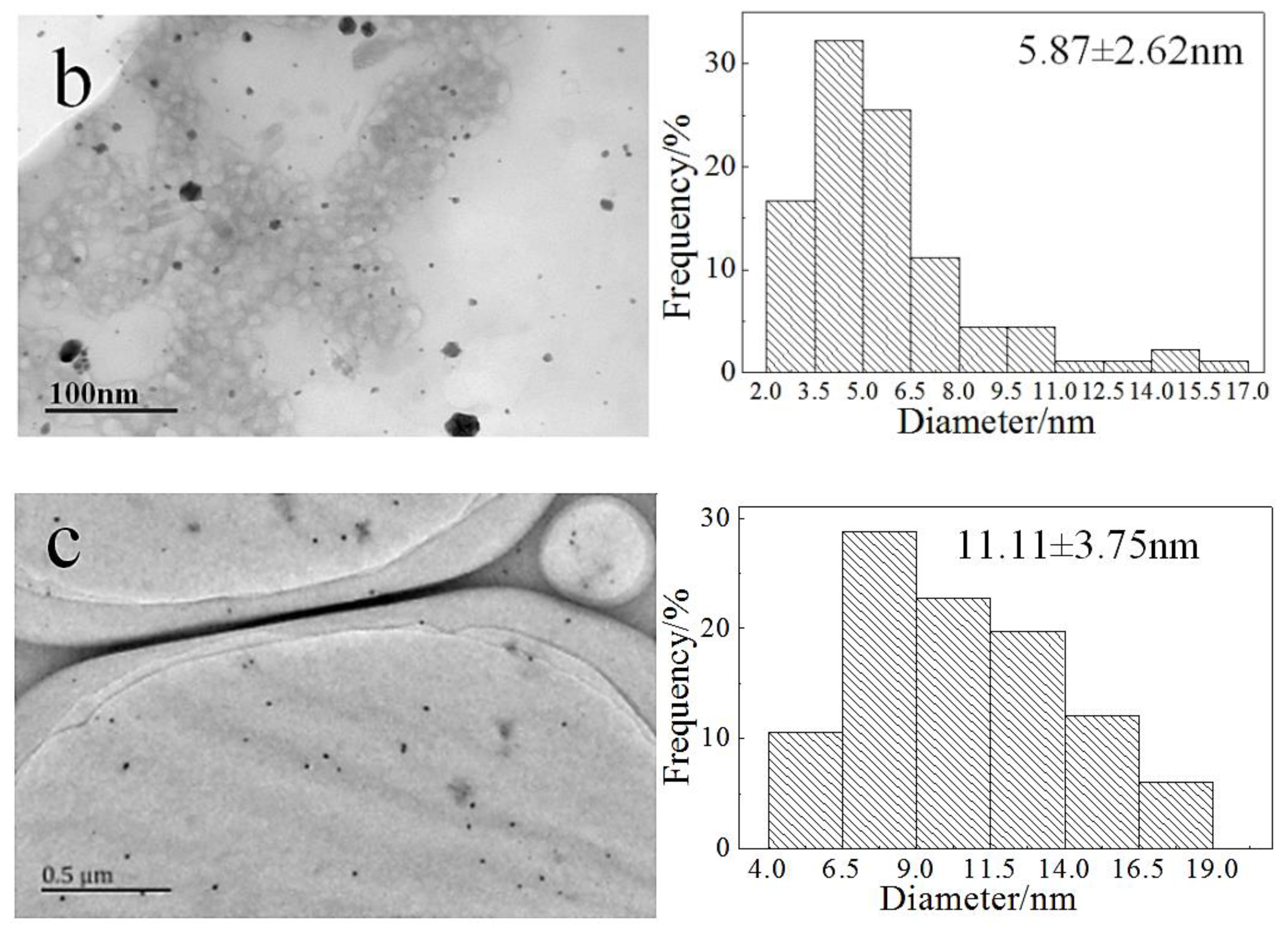 Molecules 24 04027 g002b Molecules 24 04027 g002b