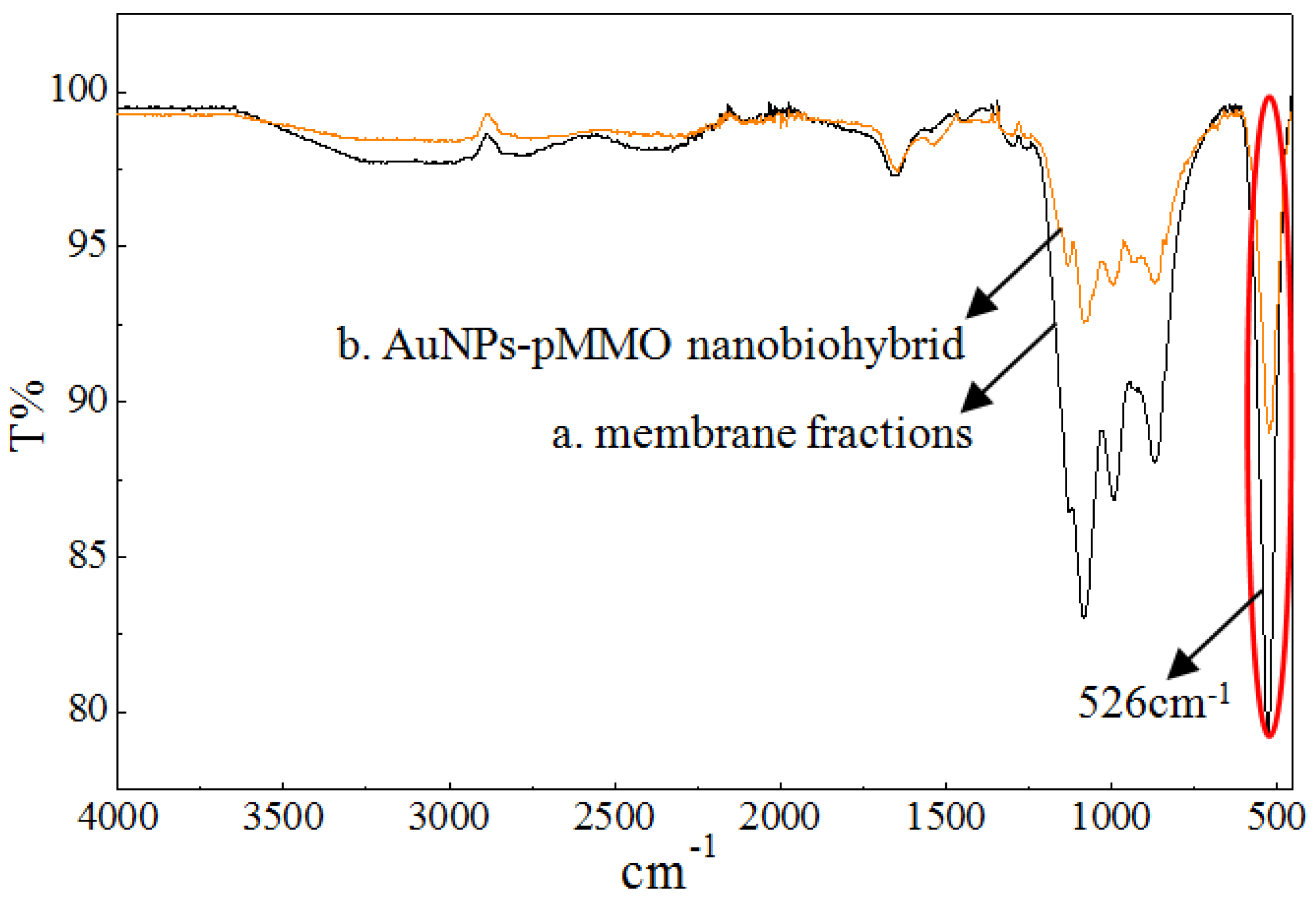 Molecules 24 04027 g004 Molecules 24 04027 g004