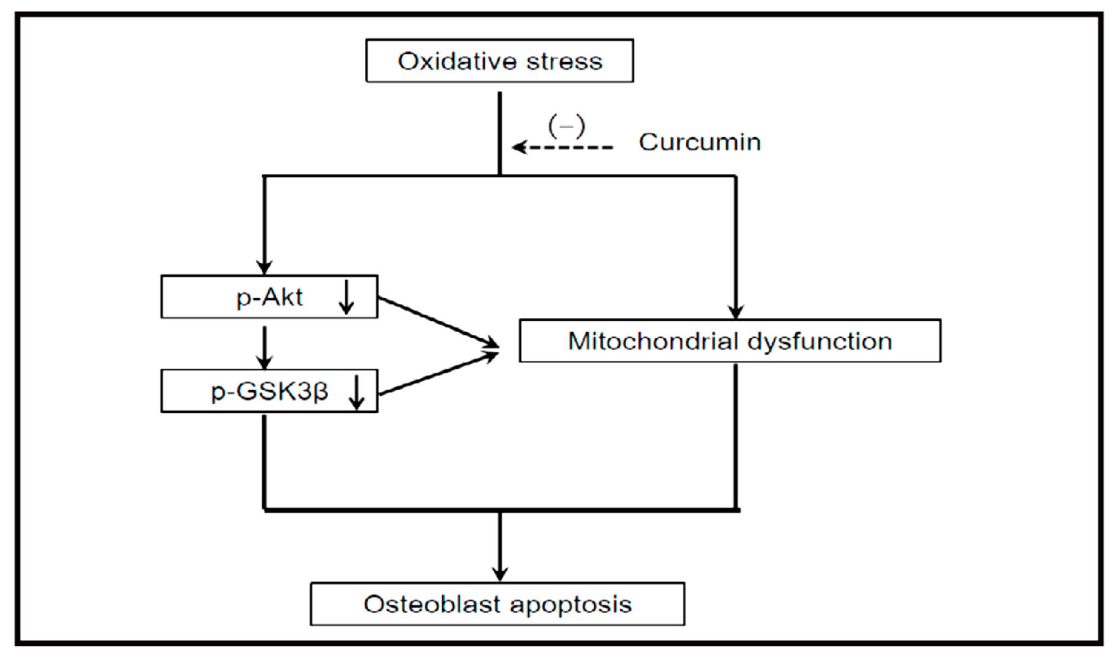 Molecules 24 04029 g002