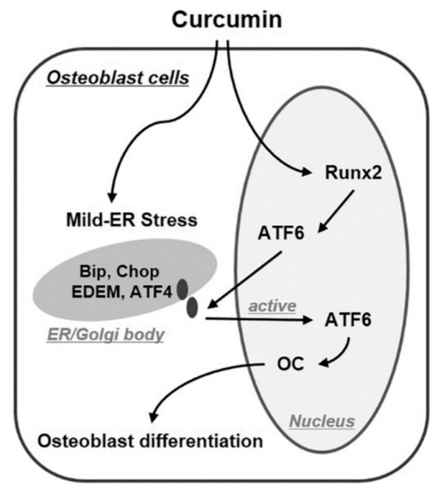 Molecules 24 04029 g003