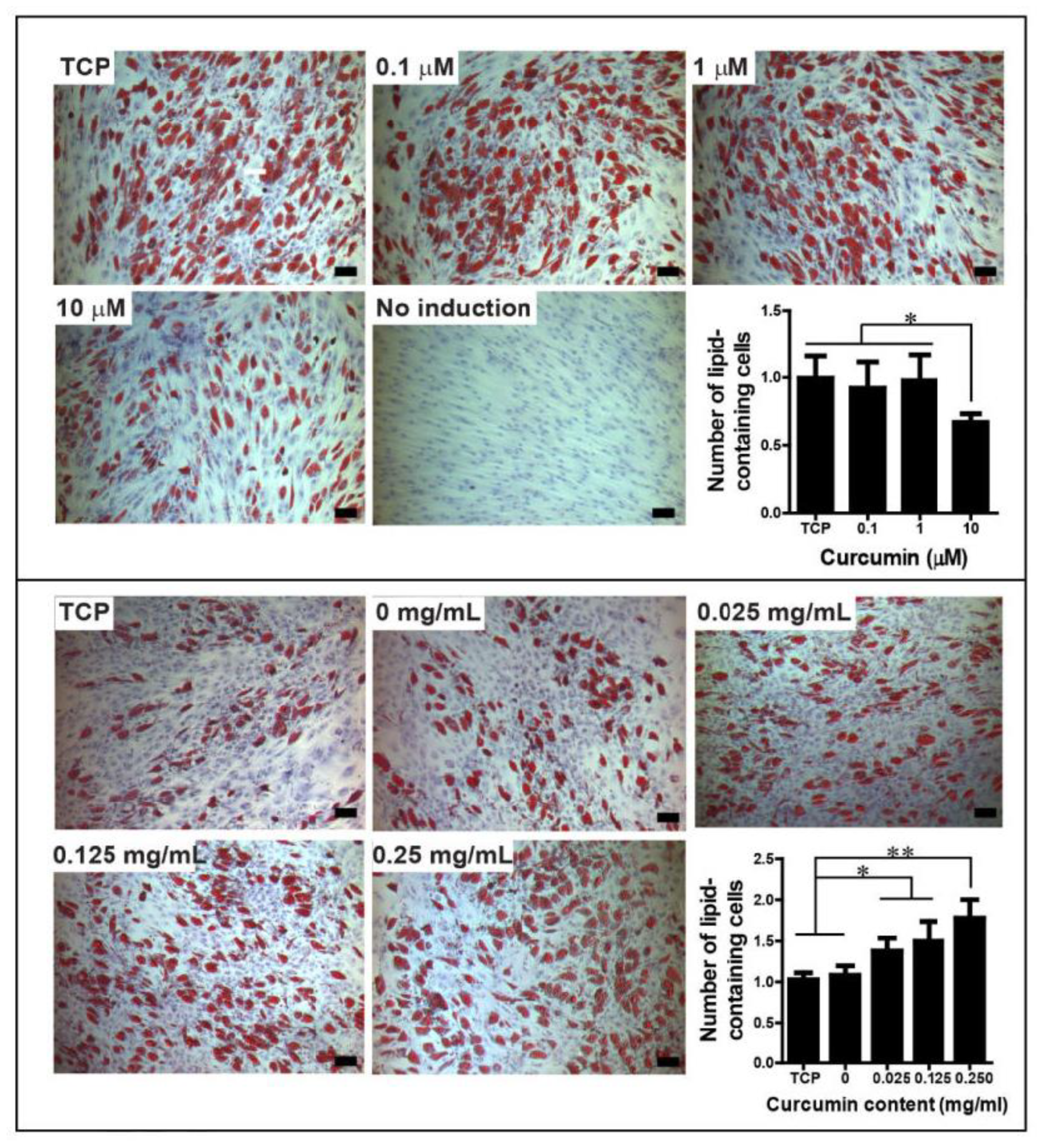 Molecules 24 04029 g005
