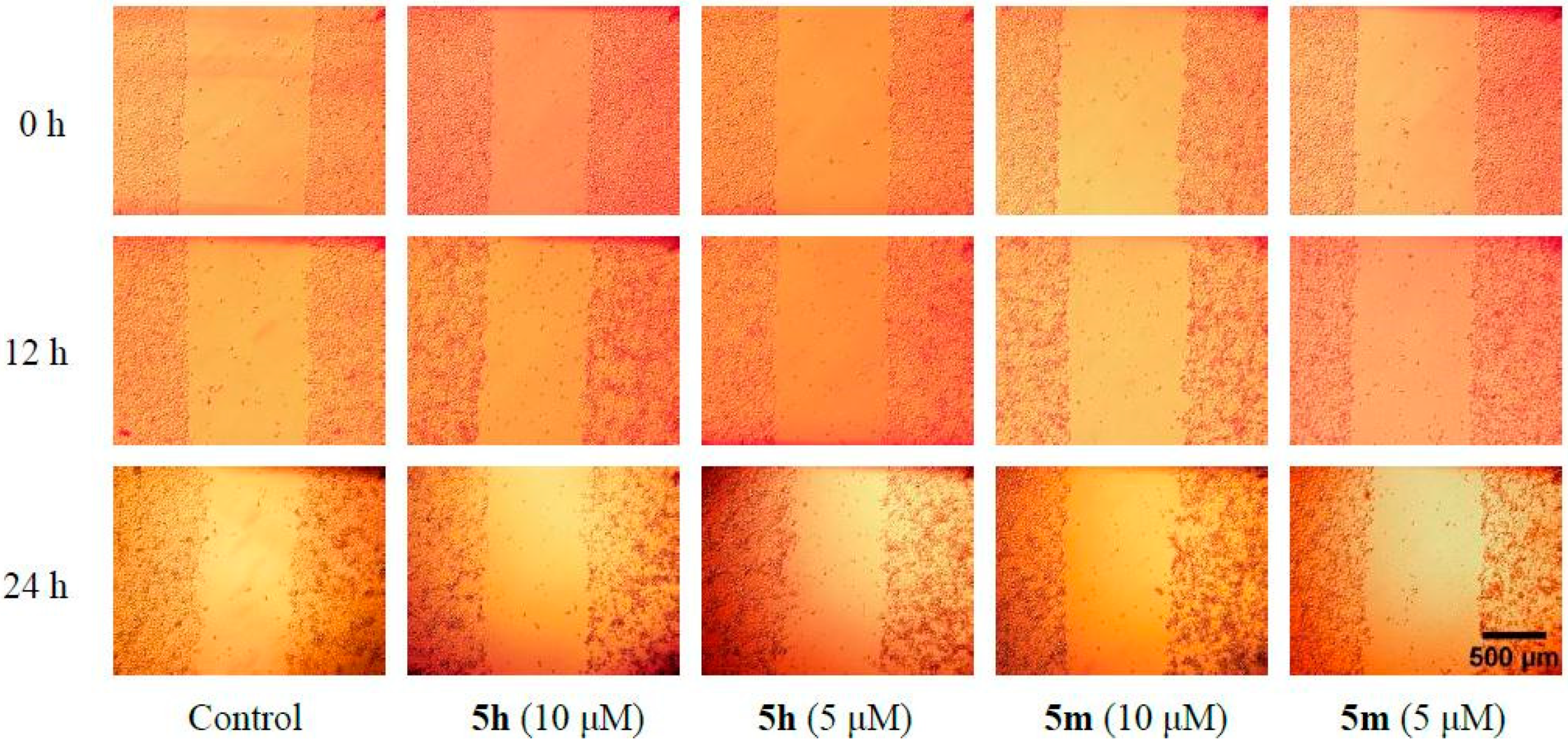 Molecules 24 04034 g002