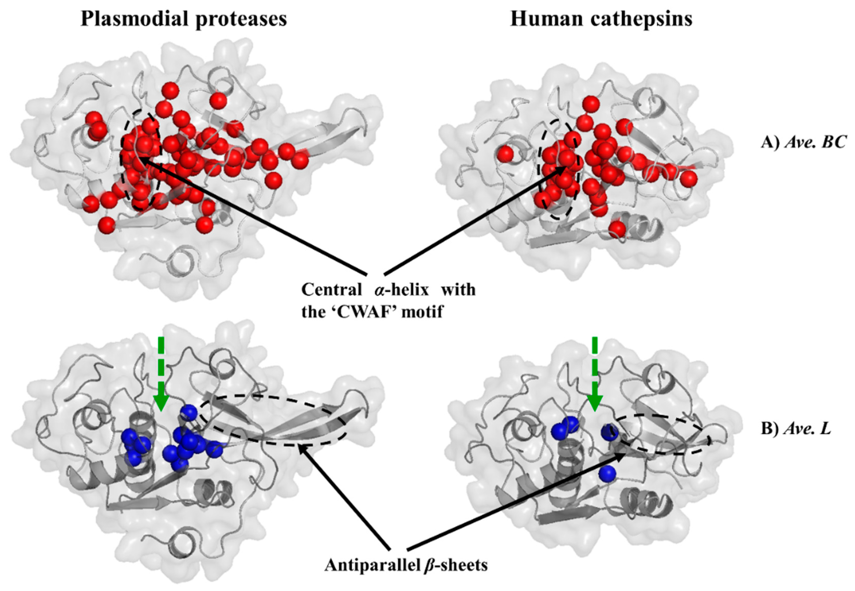 Molecules 24 04036 g008 Molecules 24 04036 g008