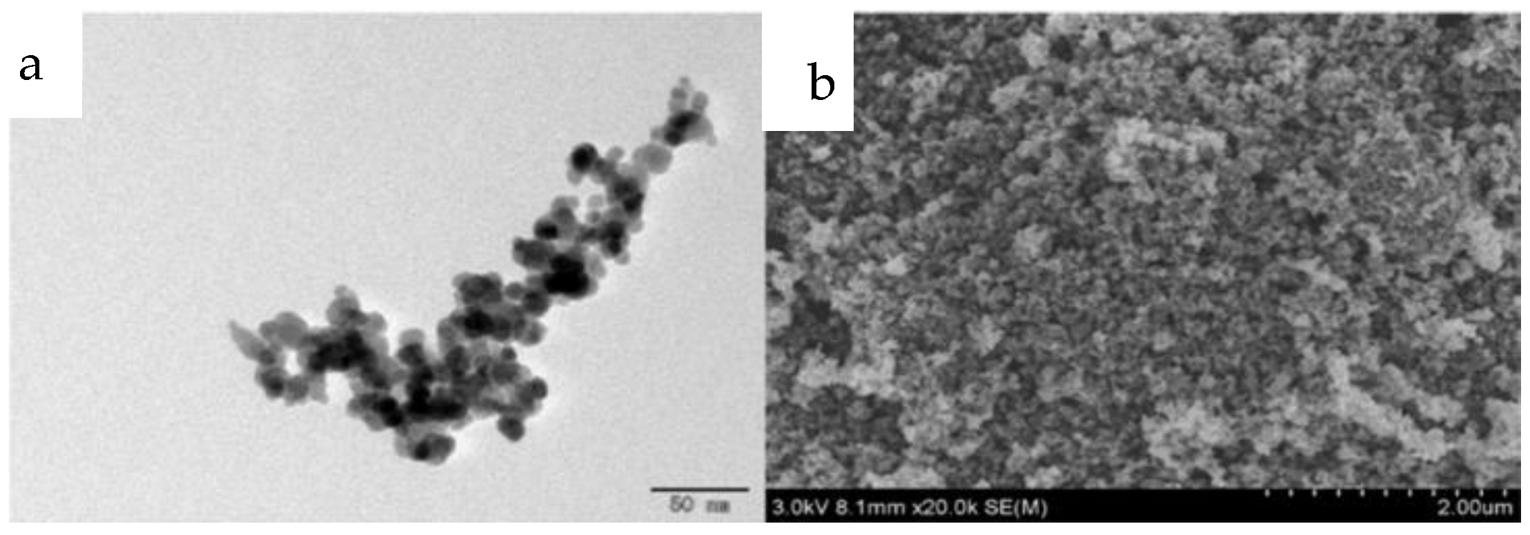 Molecules 24 04038 g002