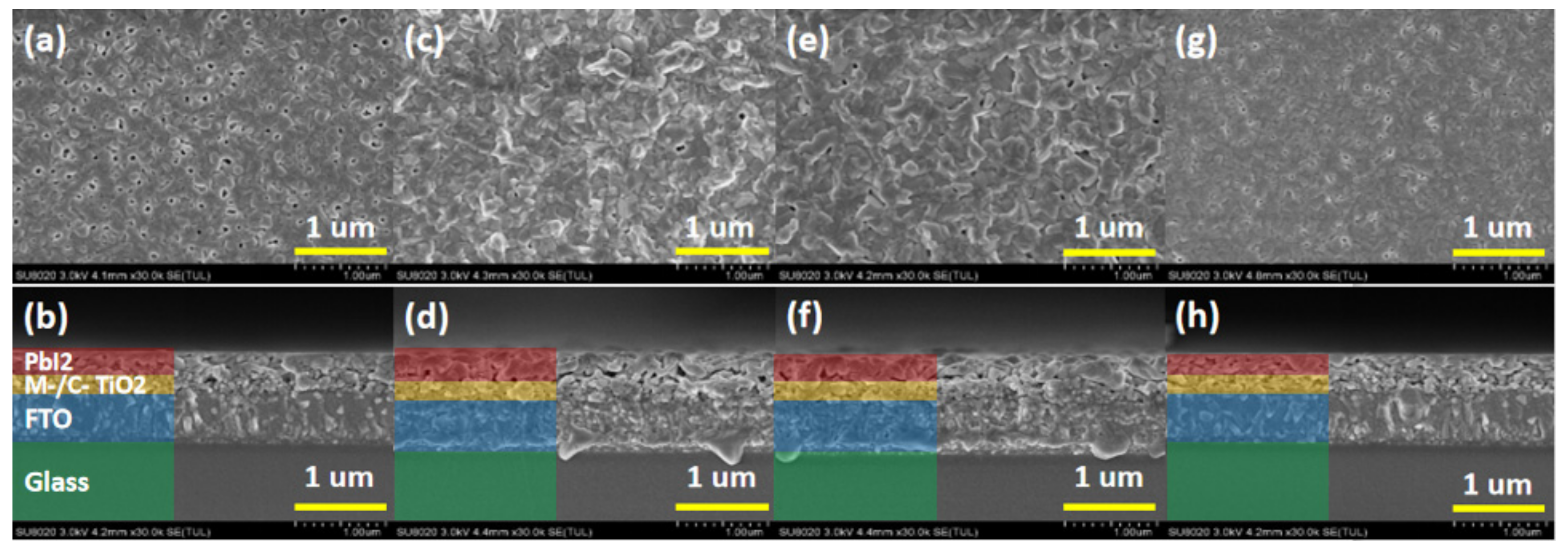 Molecules 24 04039 g001 Molecules 24 04039 g001