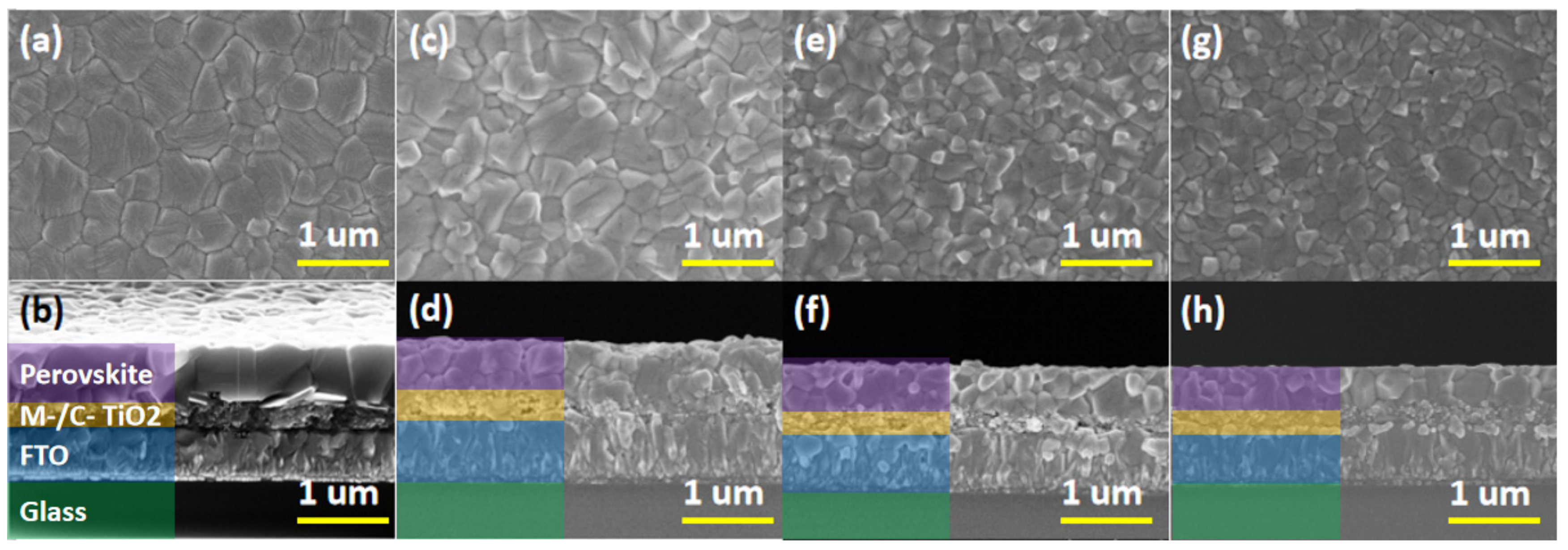 Molecules 24 04039 g003 Molecules 24 04039 g003