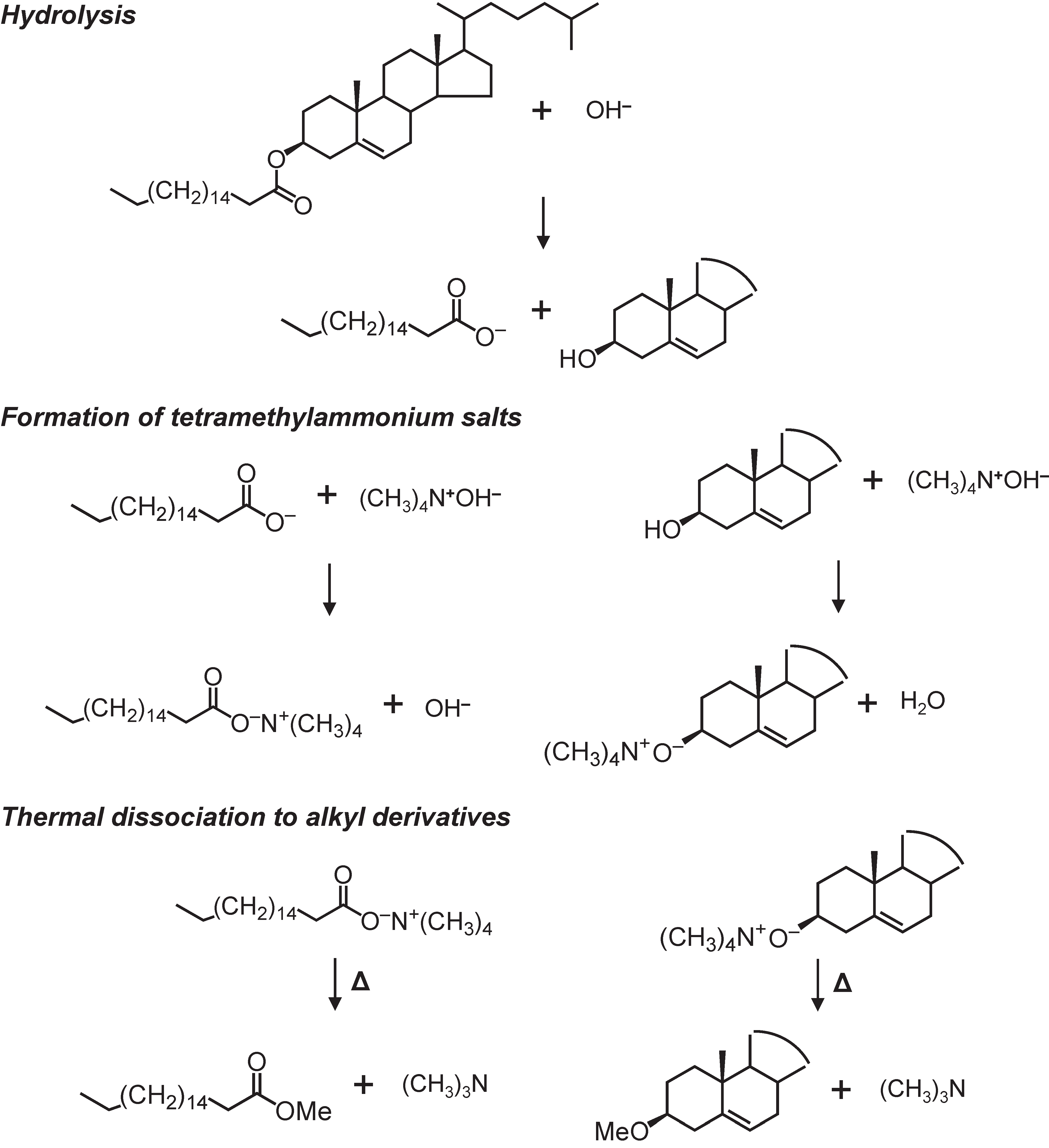 Molecules 24 04040 g002