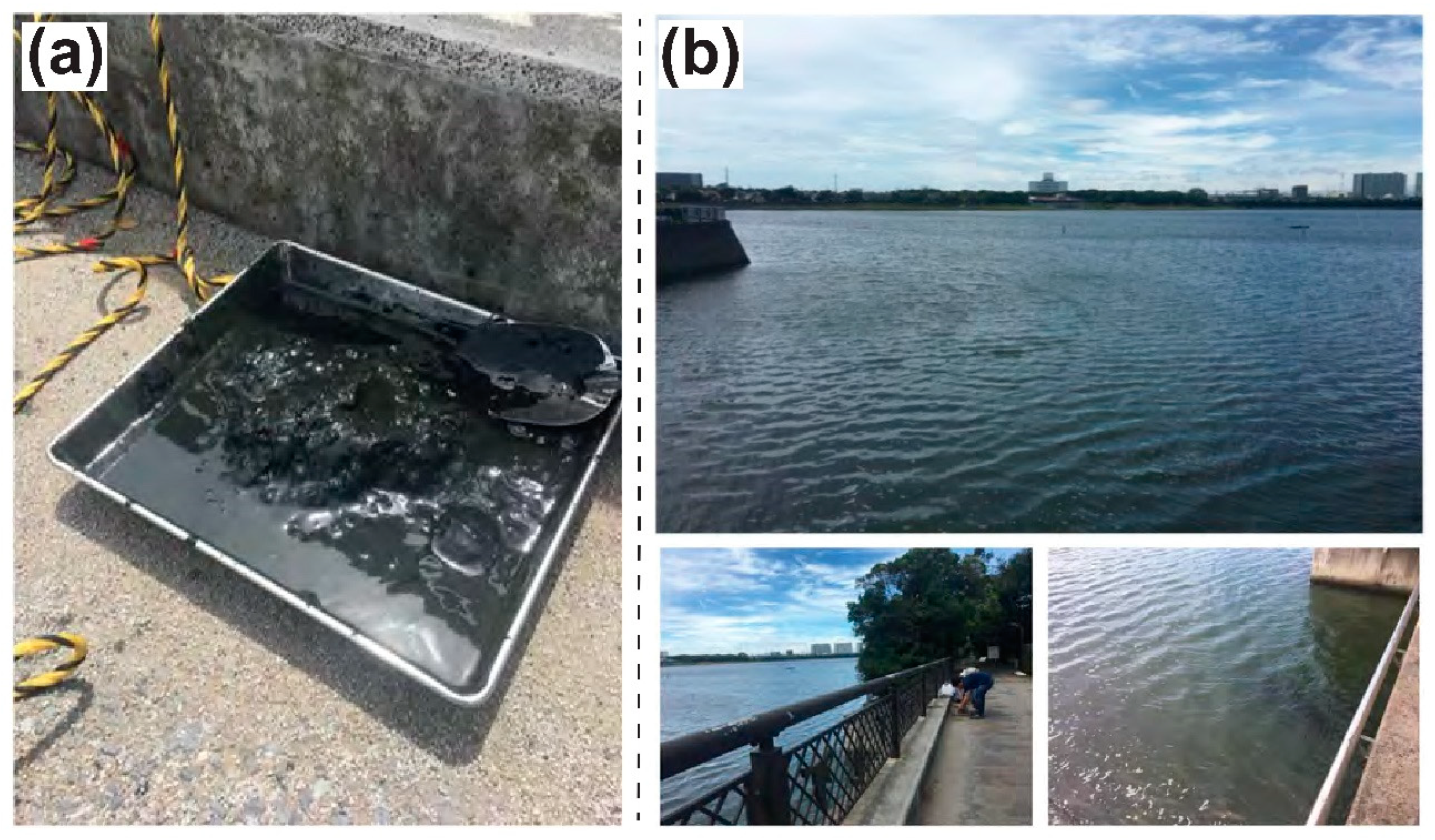 Molecules 24 04040 g003