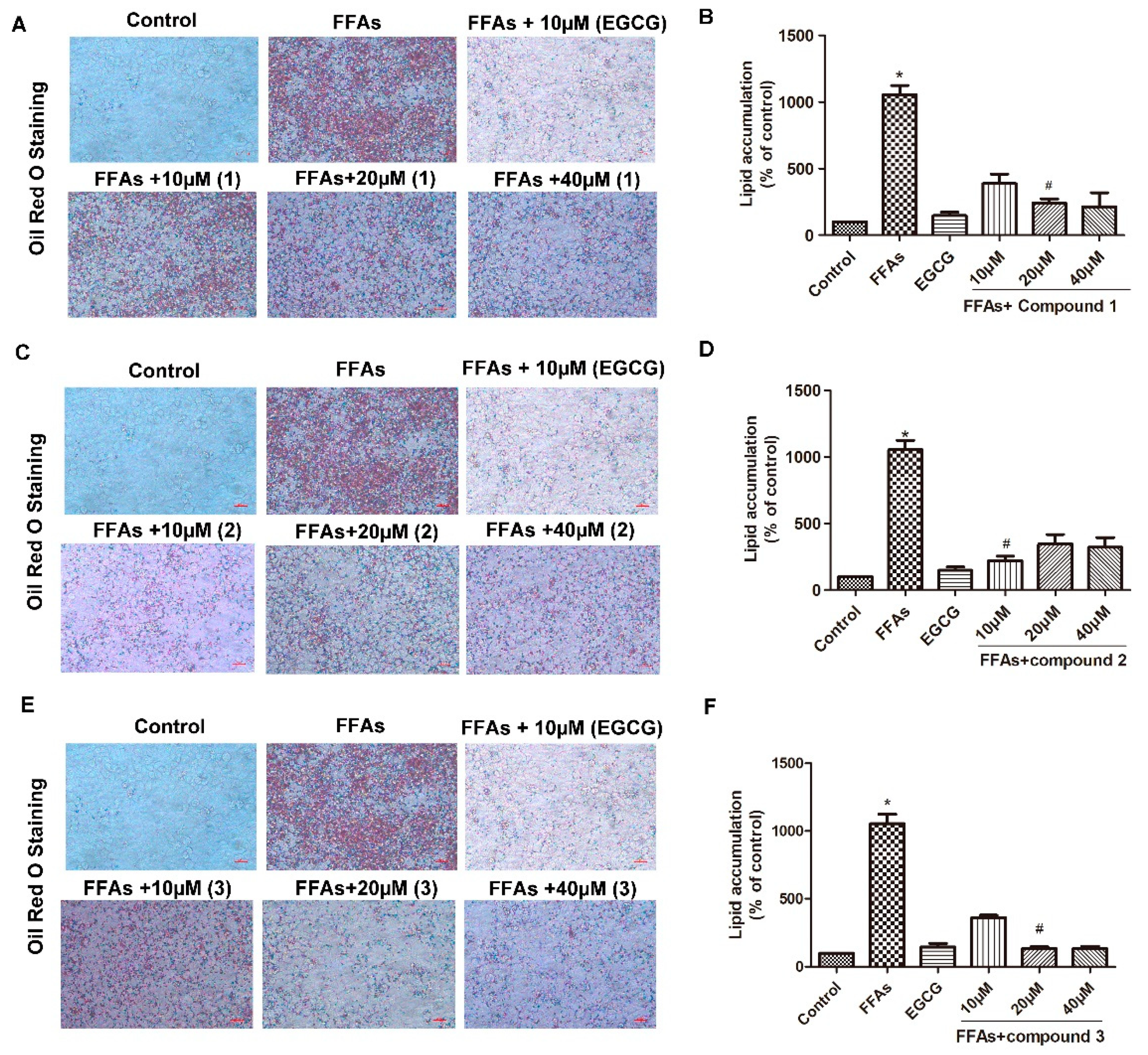 Molecules 24 04041 g003